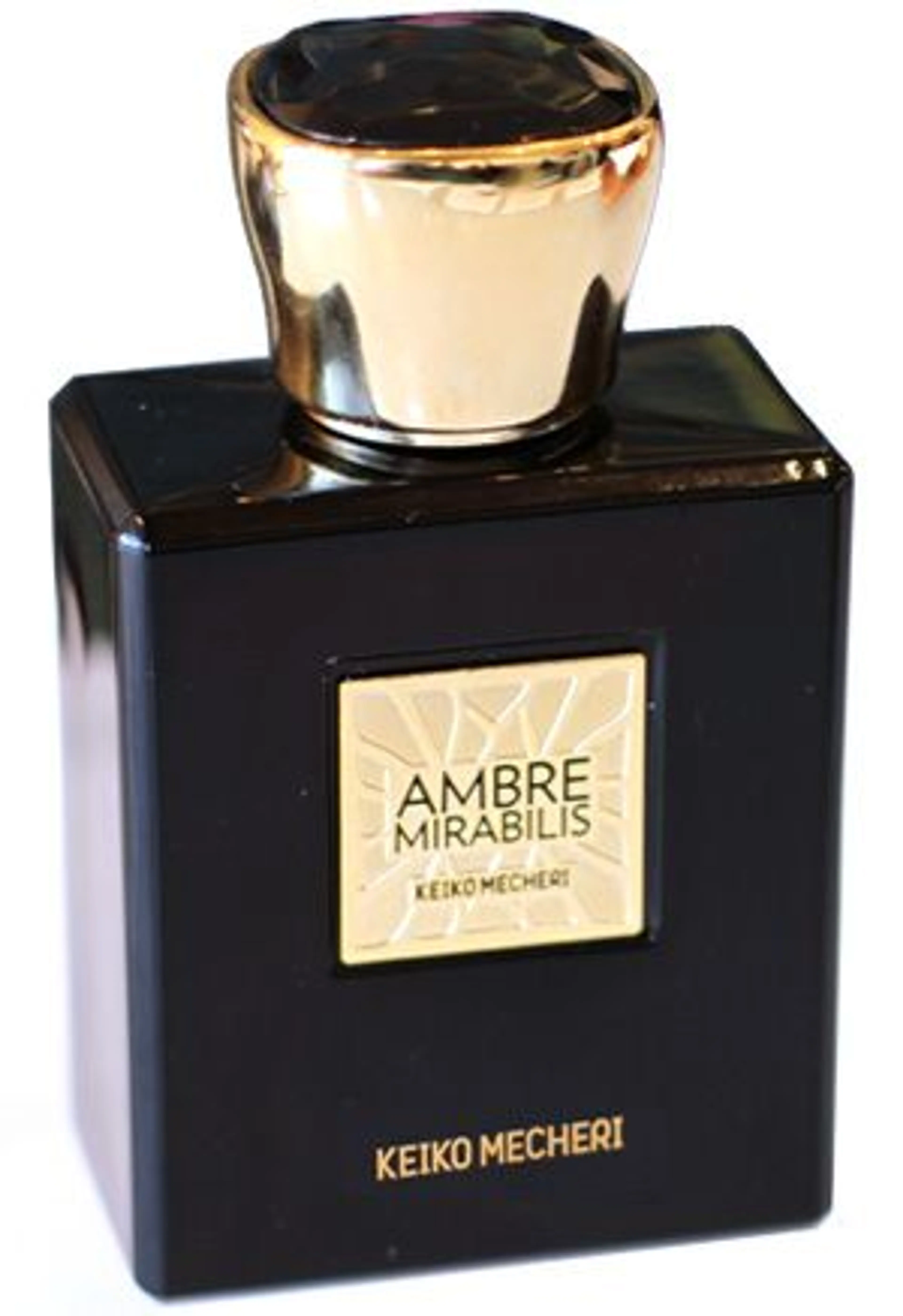 Amber Mirabilis
