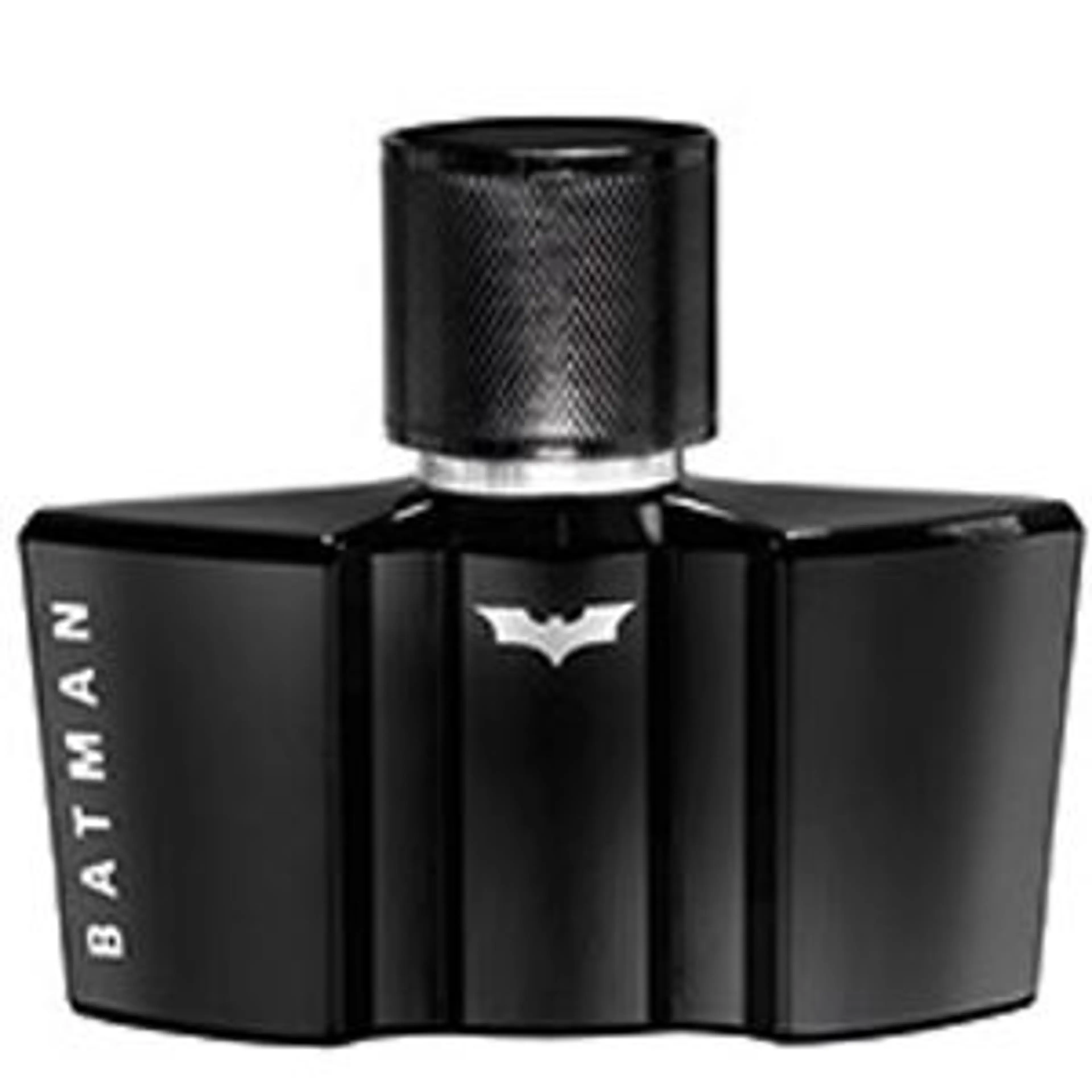 Batman The Dark Night Rises