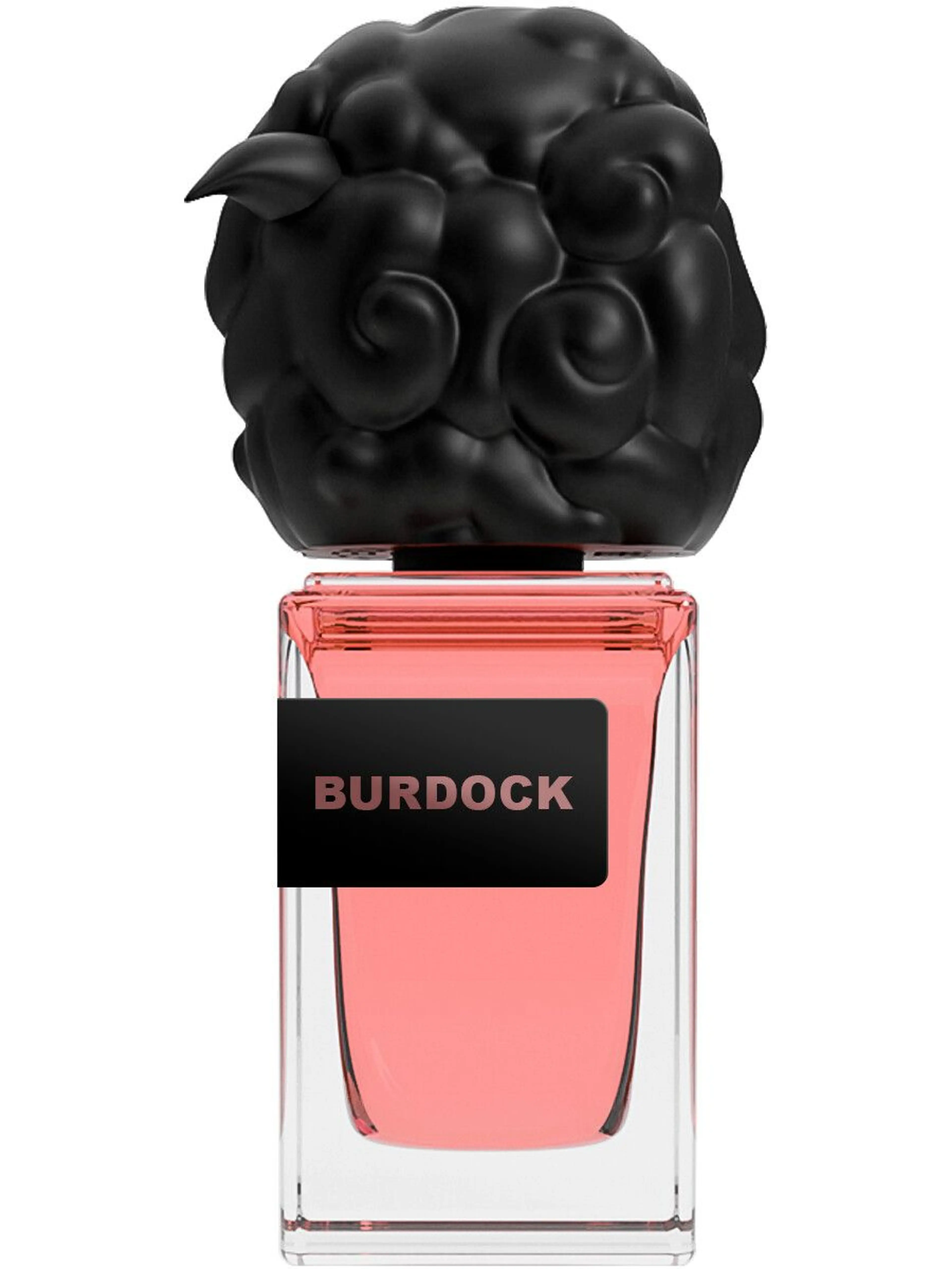 Burdock