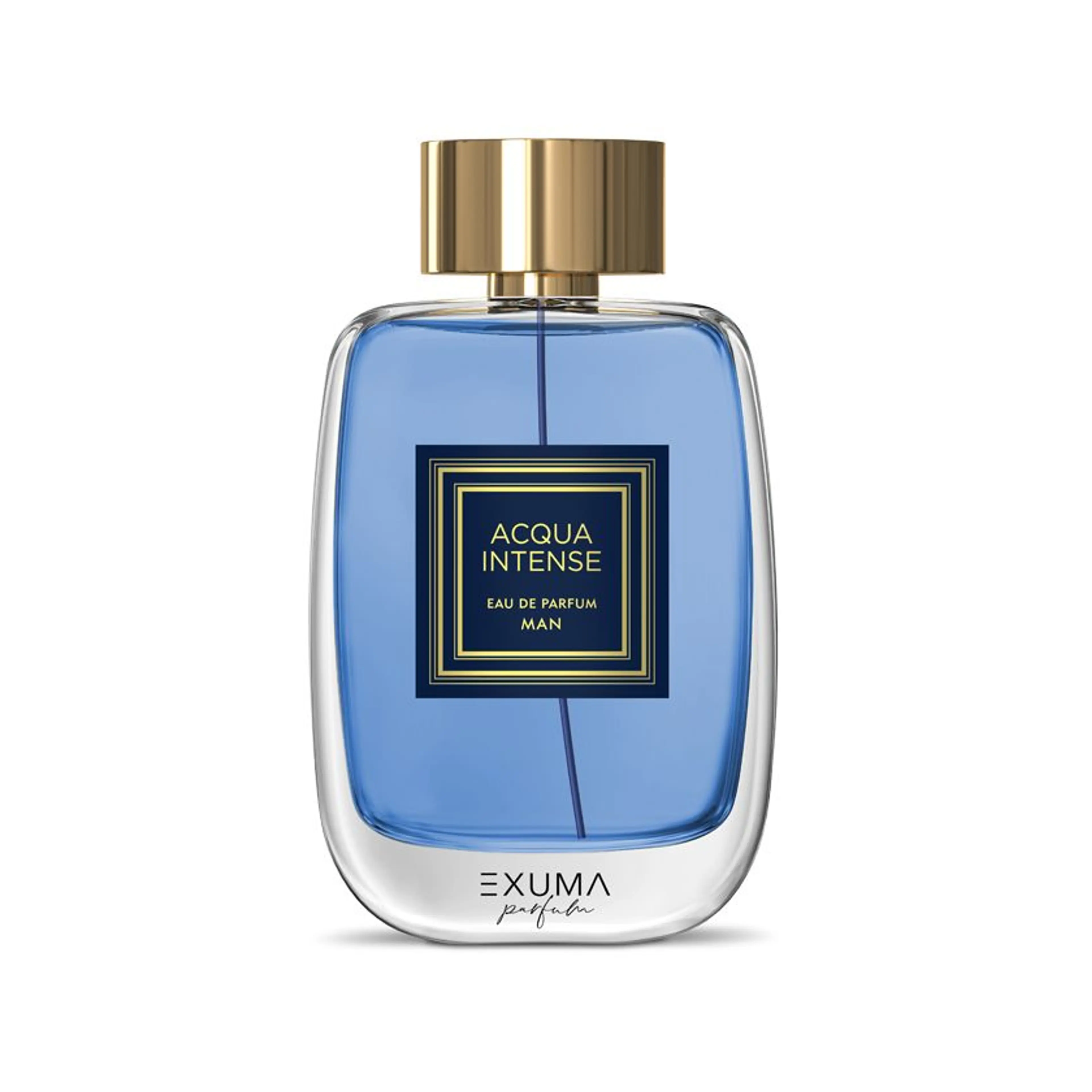 Acqua Intense Man