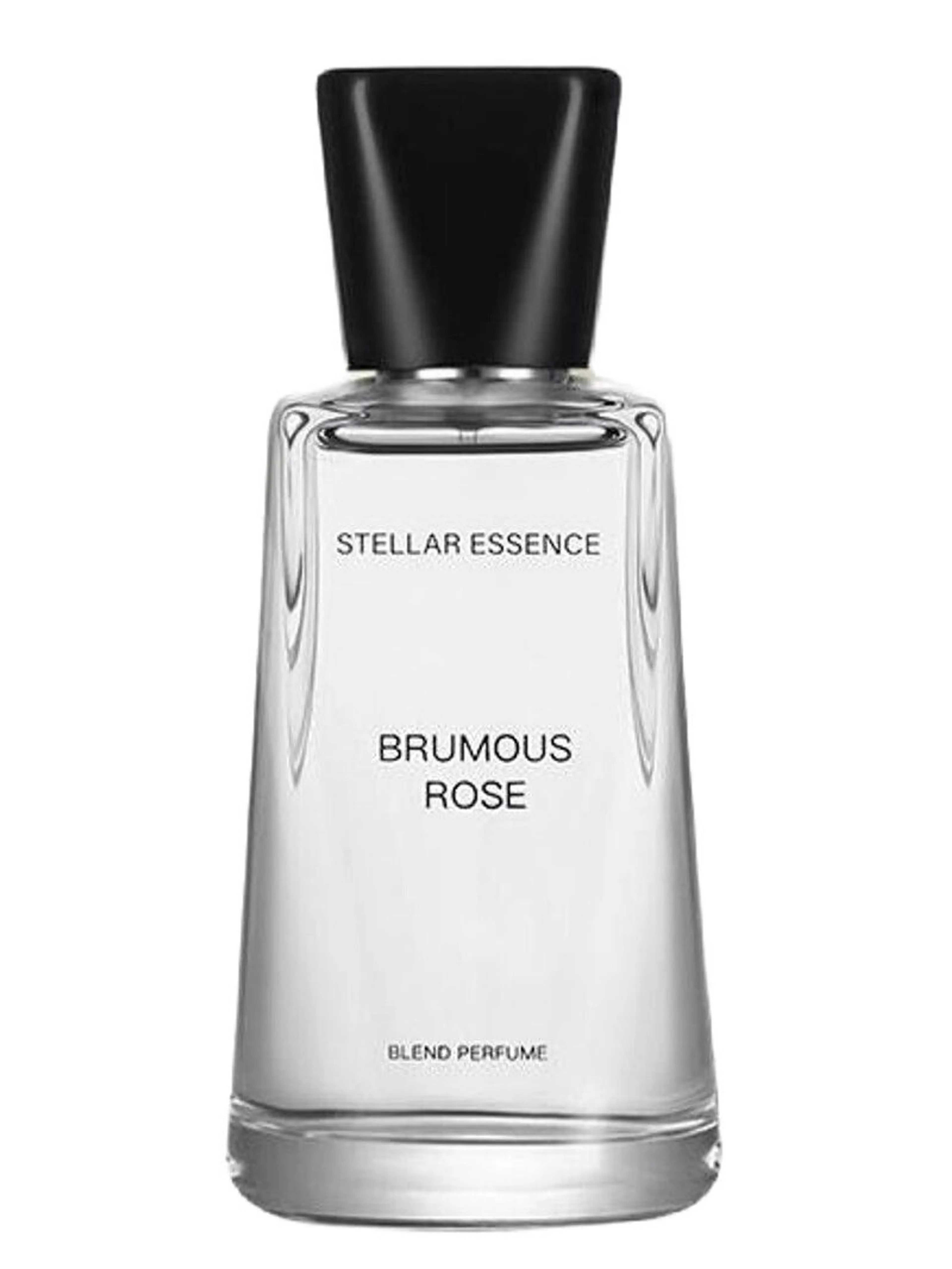 Brumous Rose