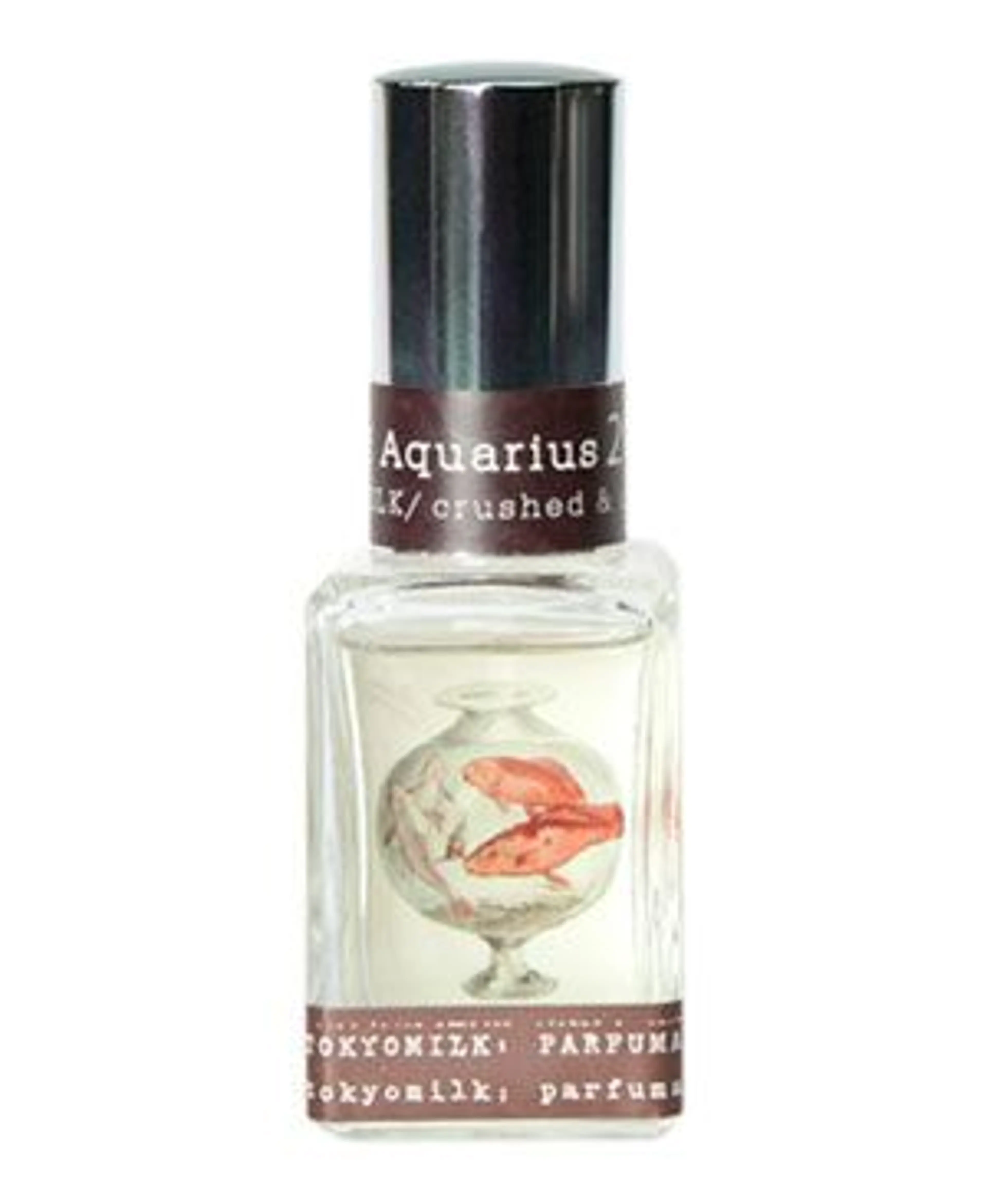Age of Aquarius