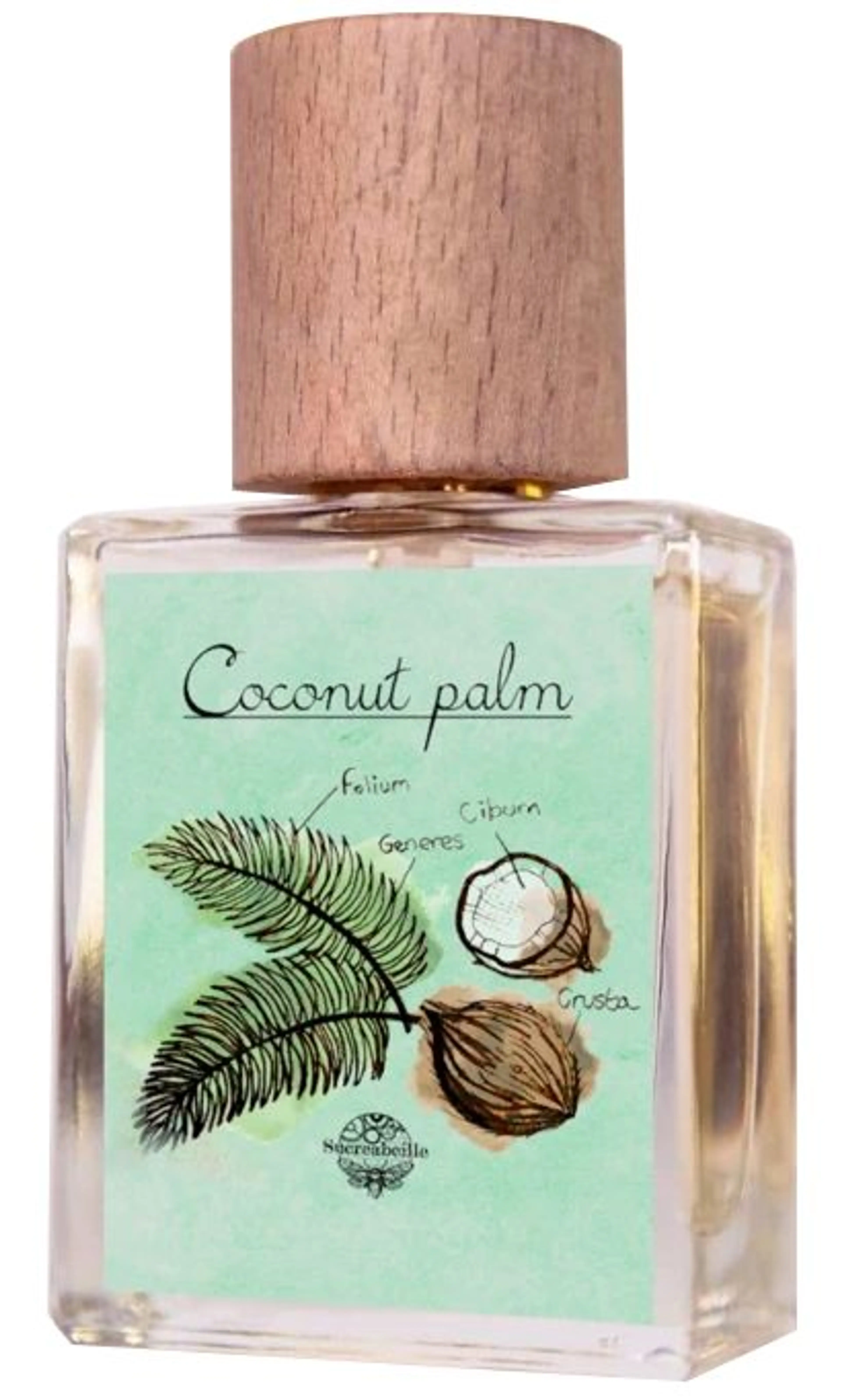 Coconut Palm