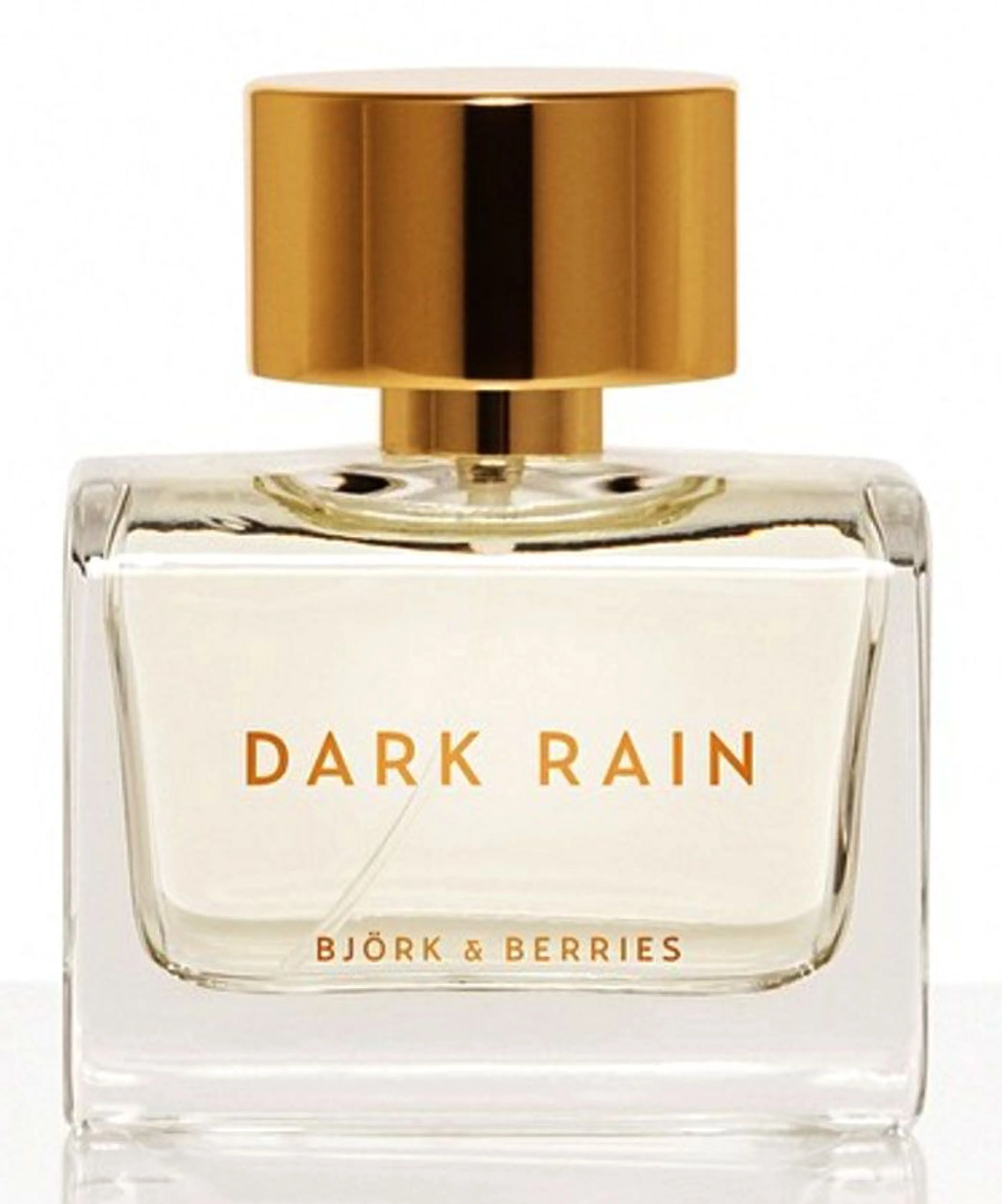 Dark Rain
