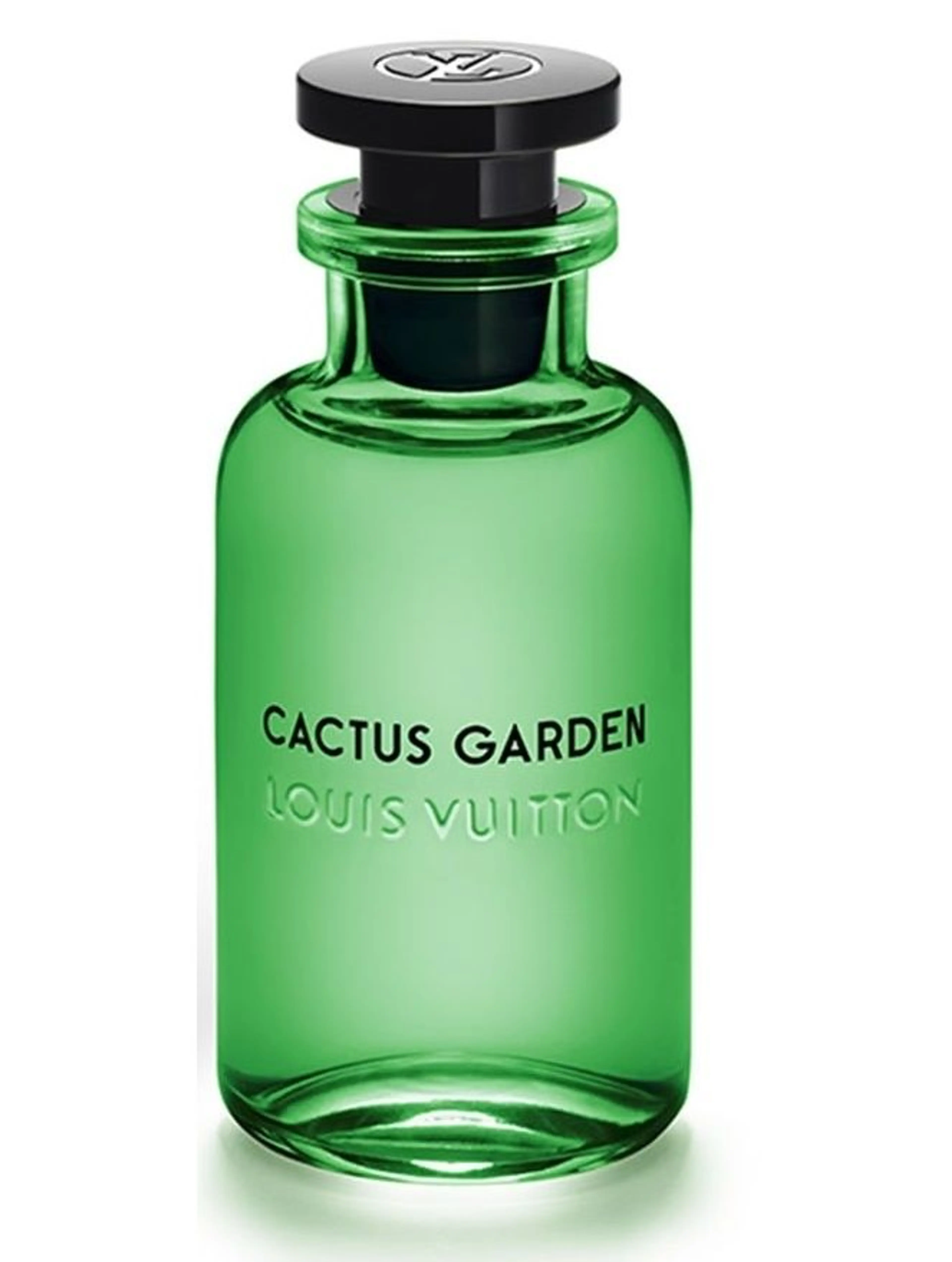 Cactus Garden