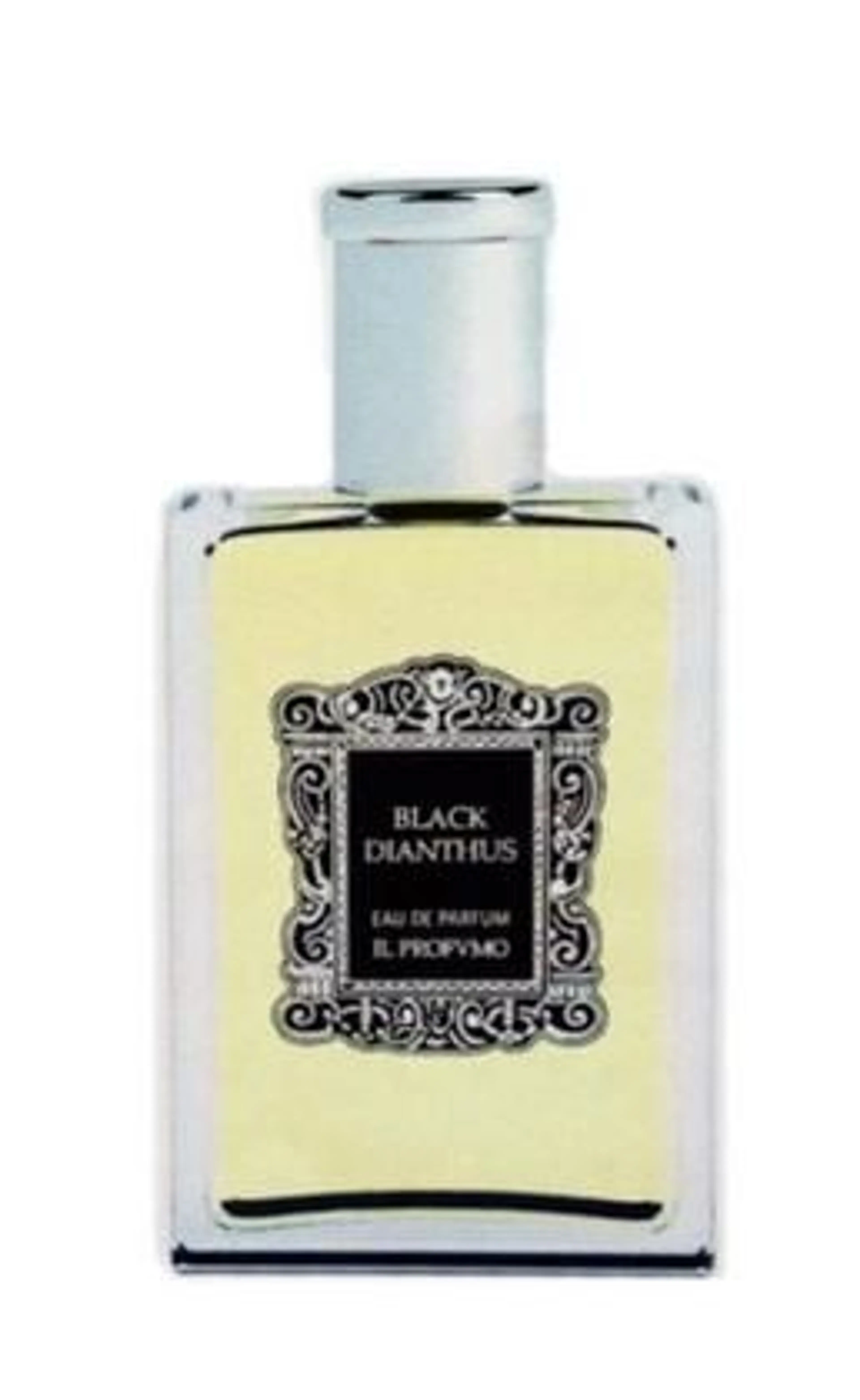 Black Dianthus
