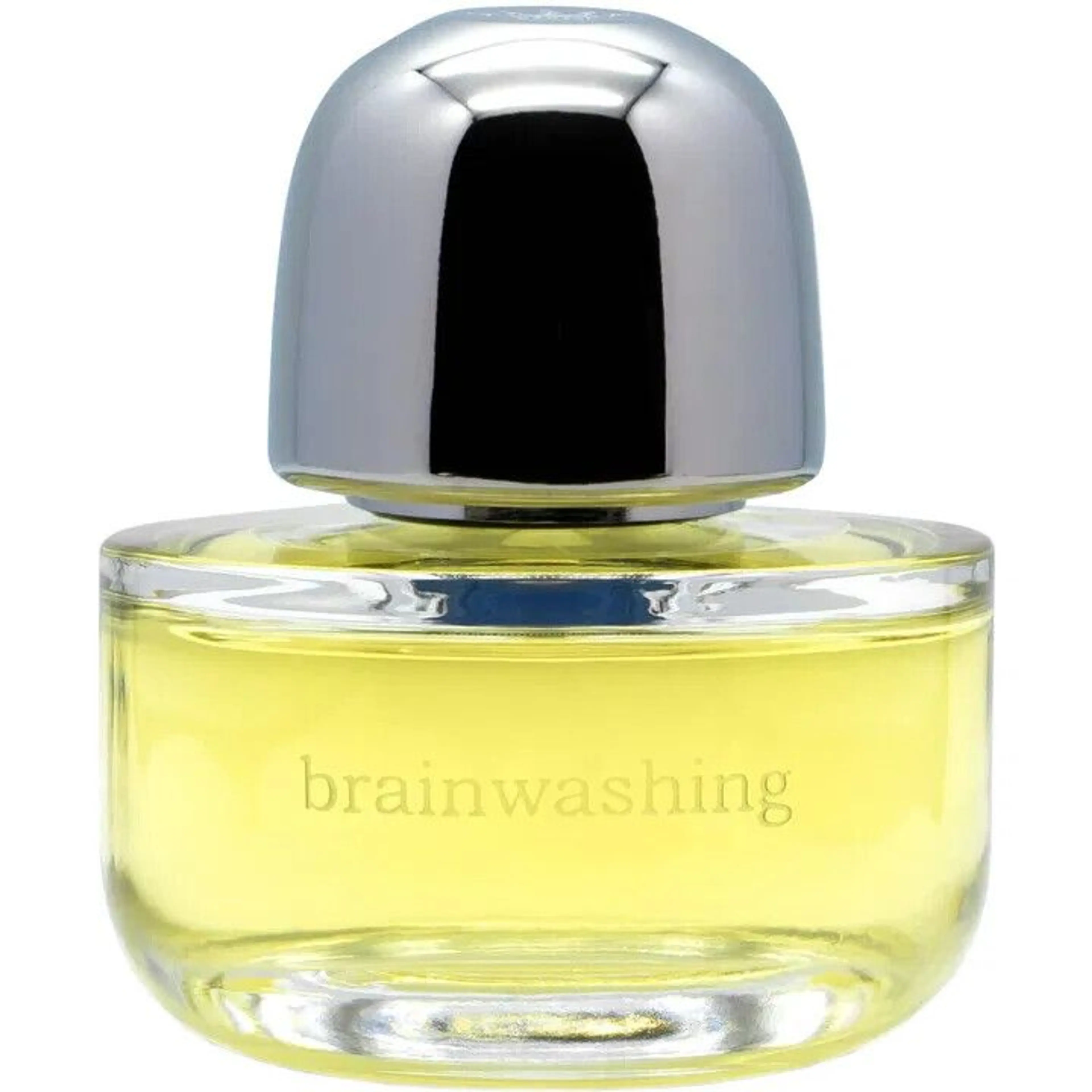 Brainwashing