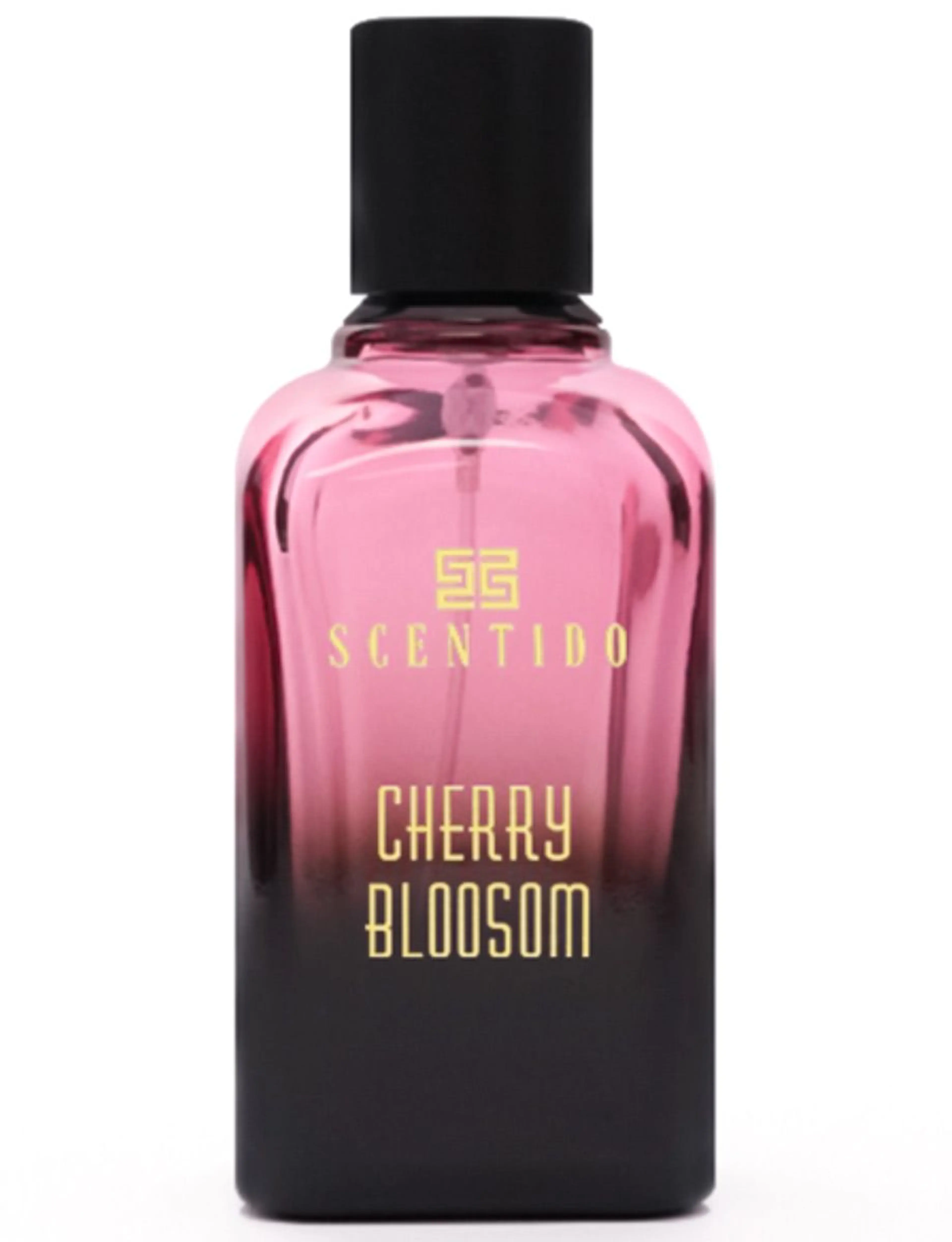 Cherry Blossom
