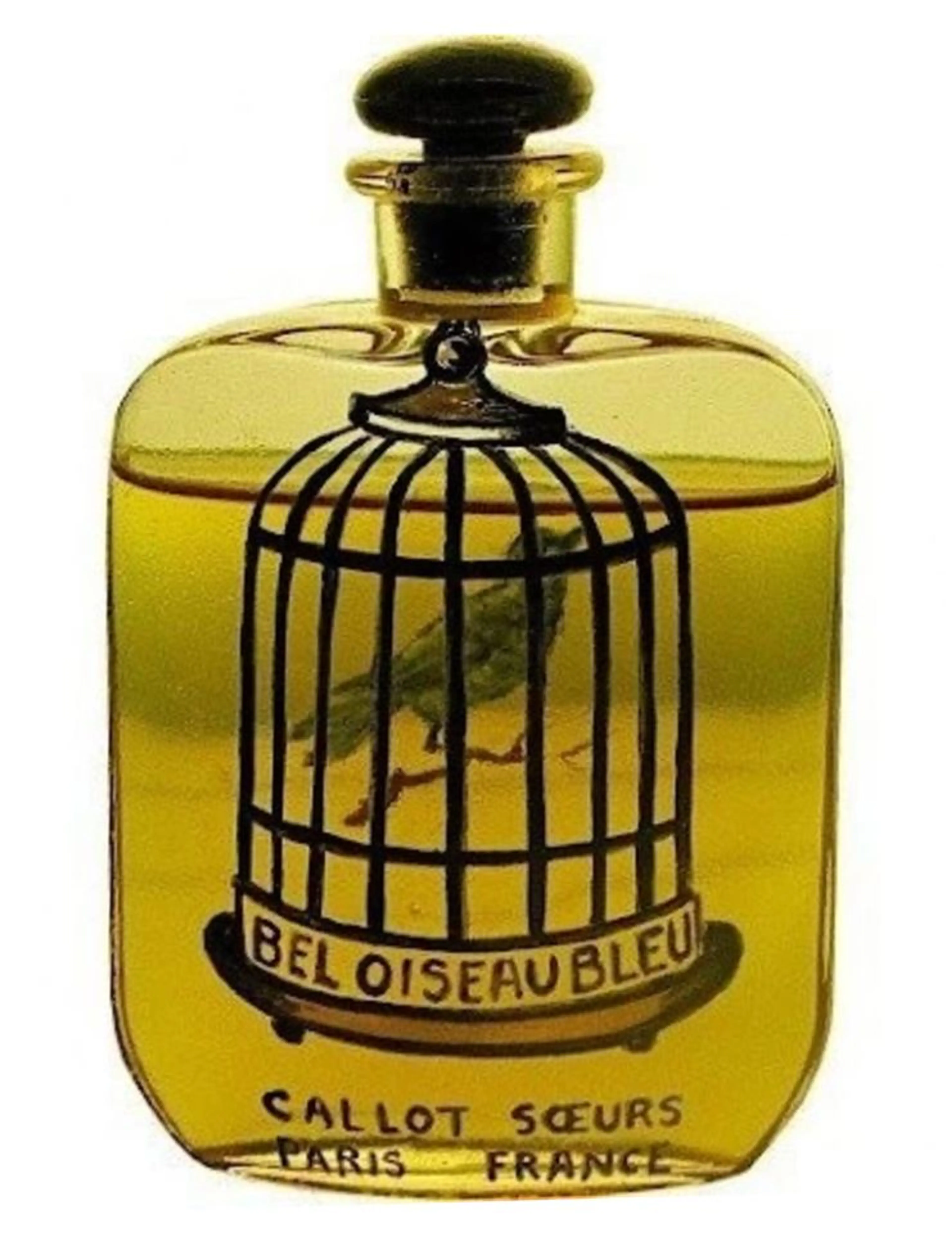 Bel Oiseau Bleu