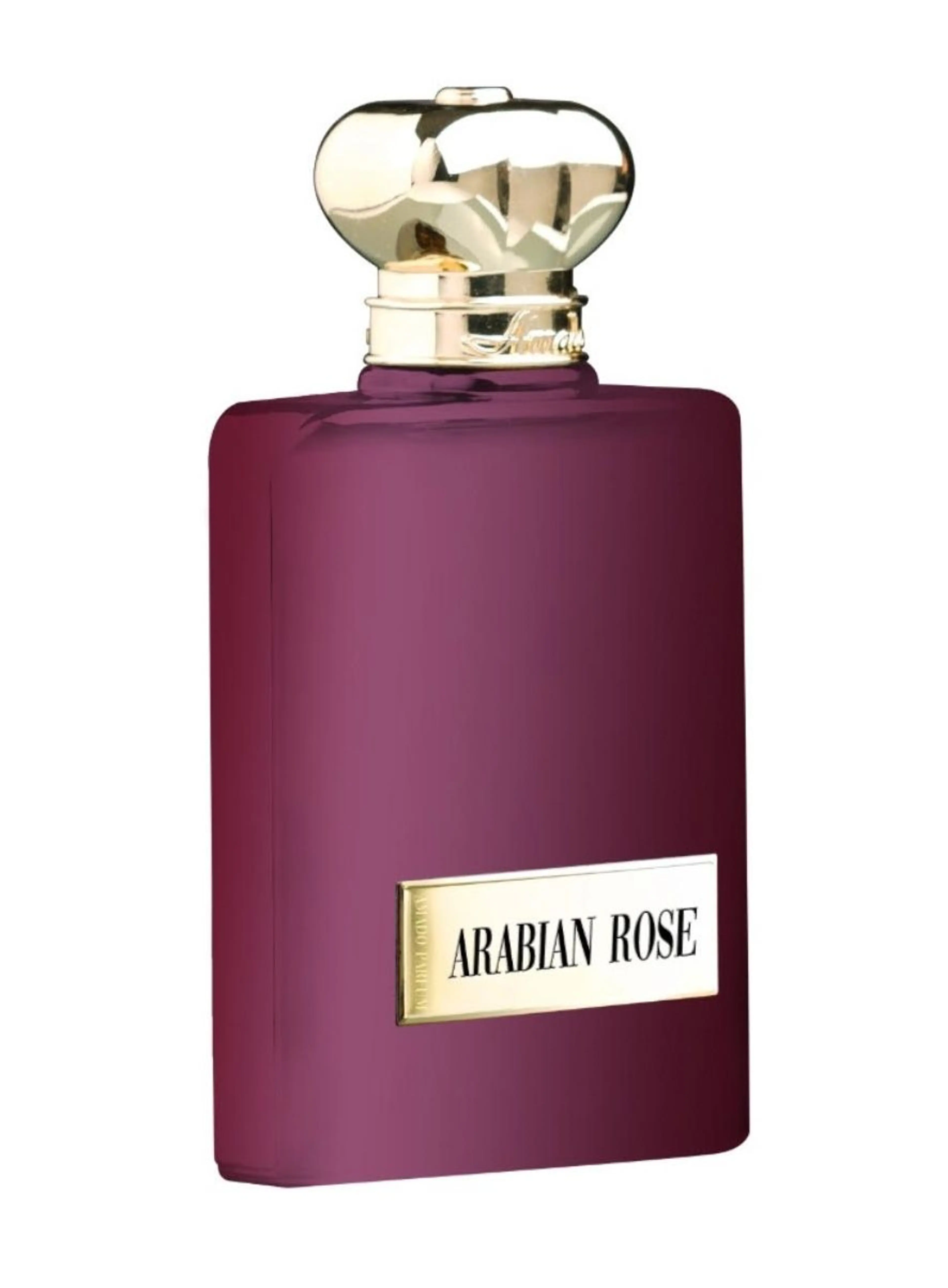 Arabian Rose