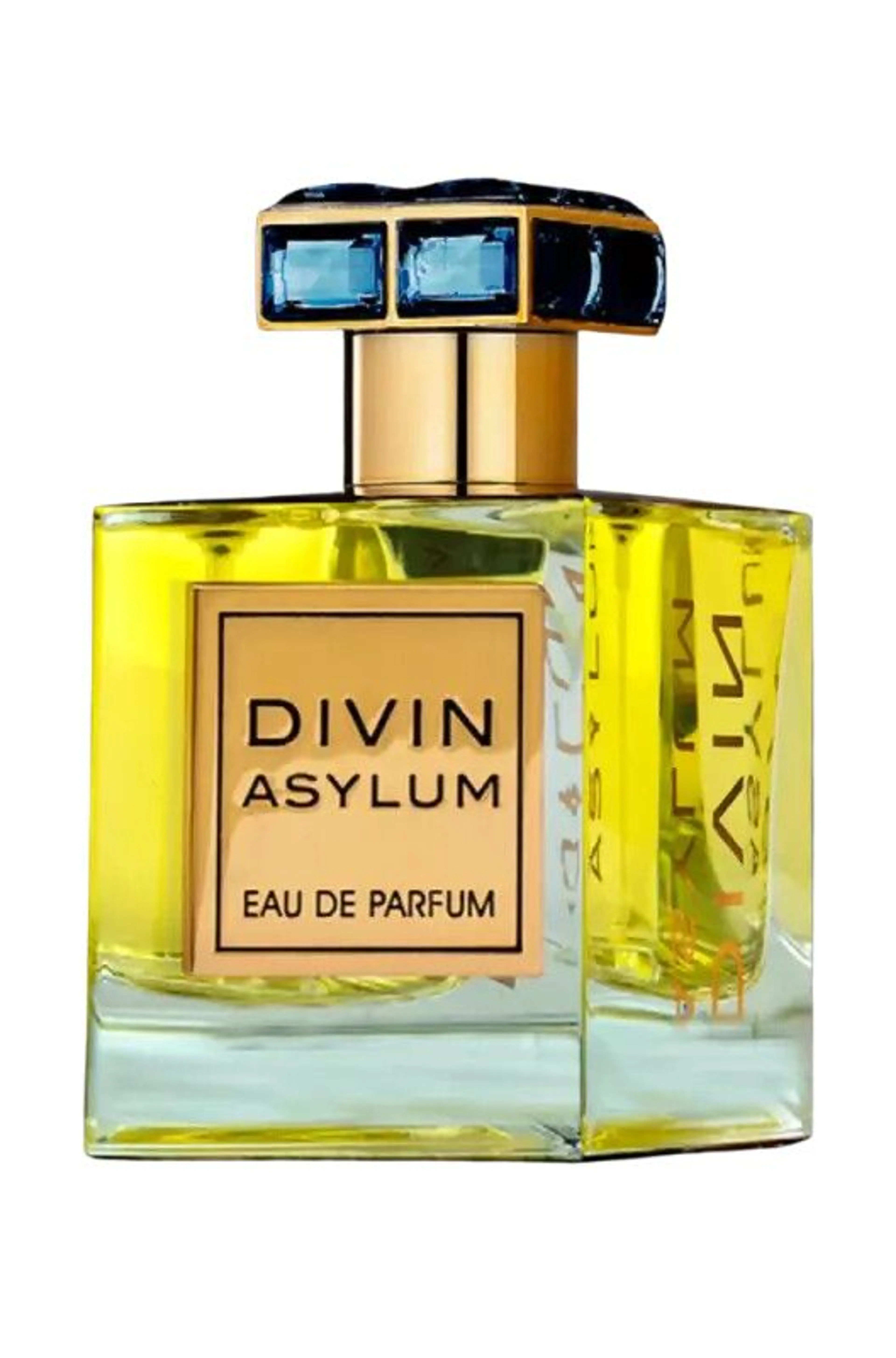 Divin Asylum