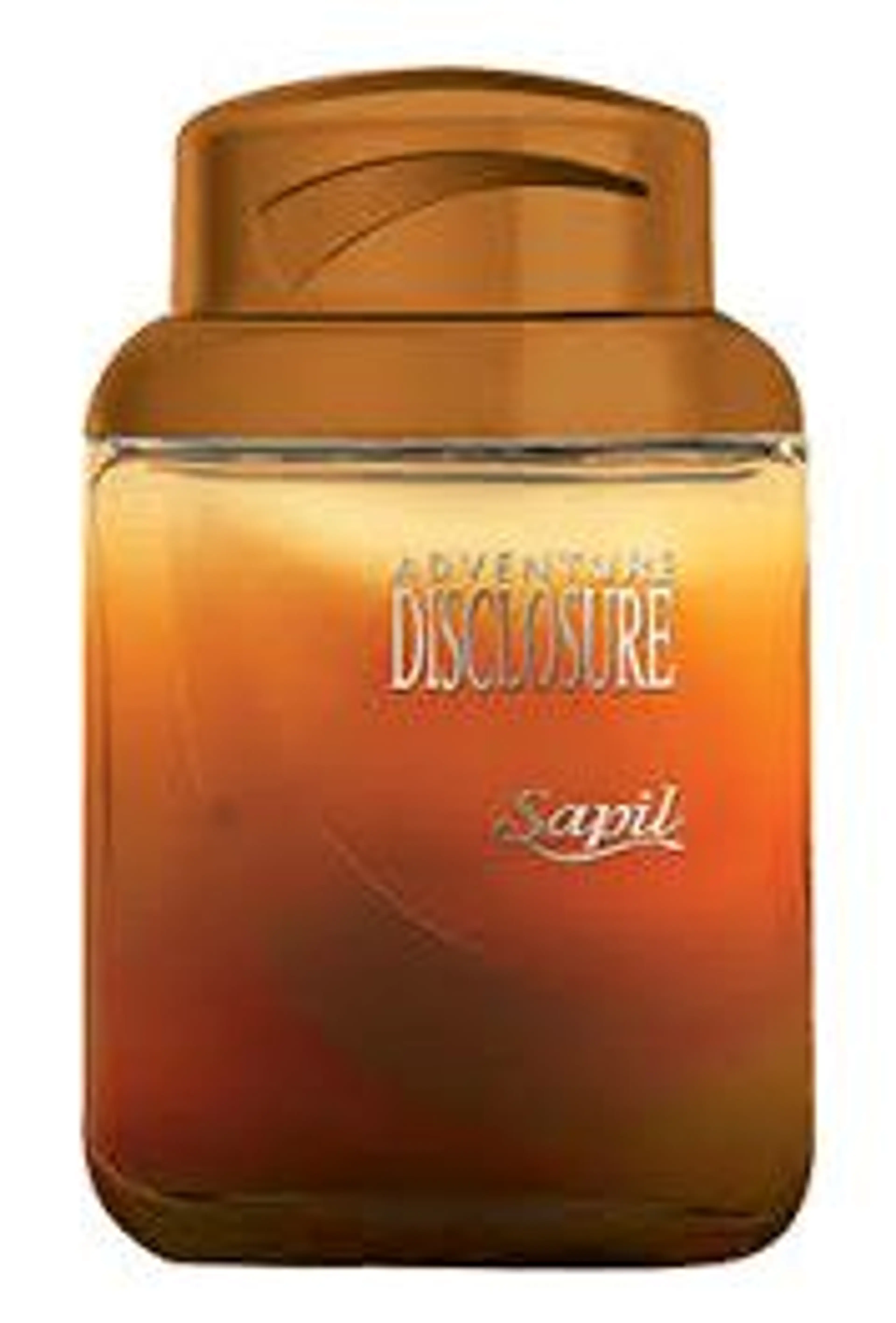 Disclosure Adventure