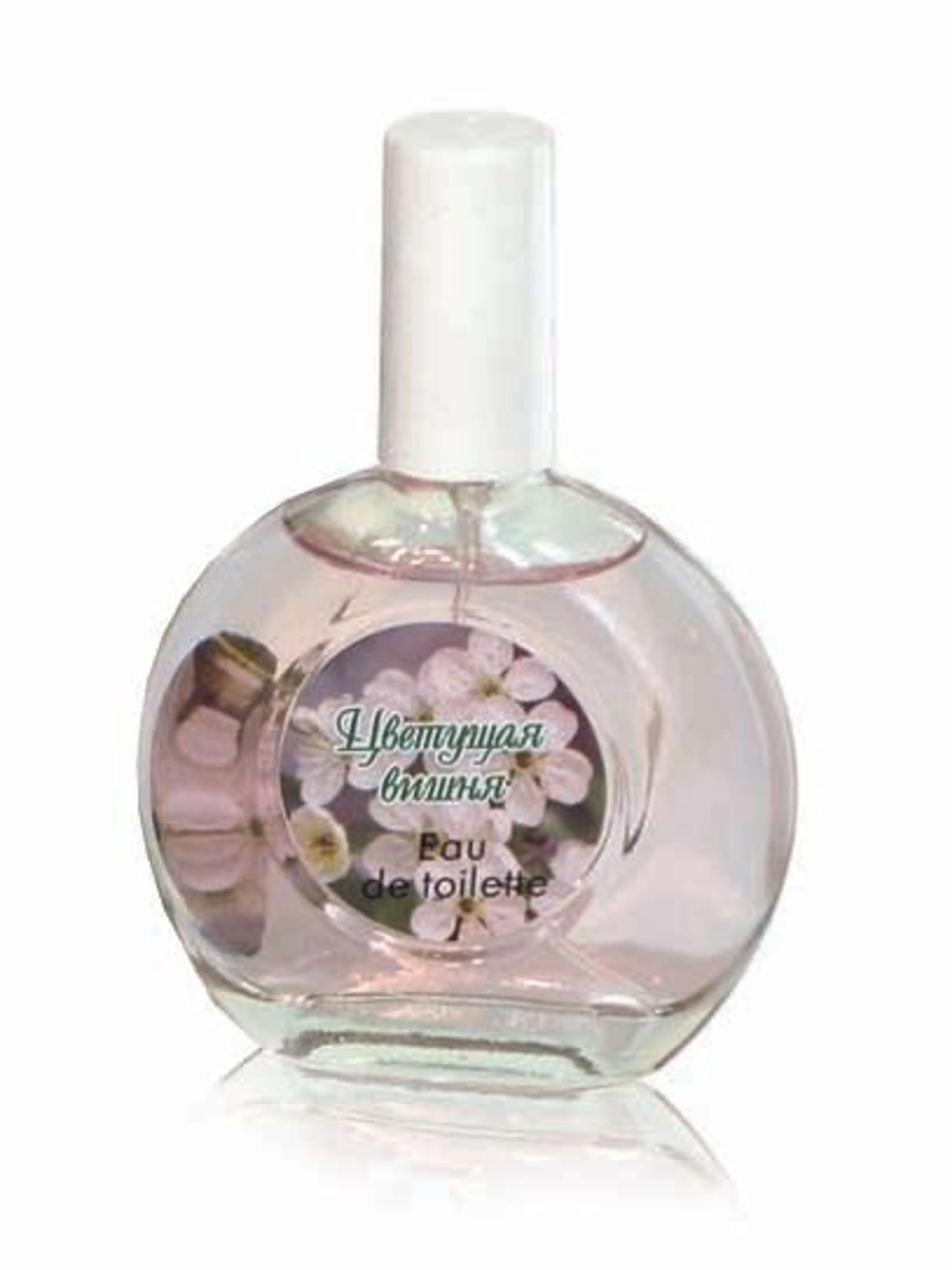 Cherry Blossom