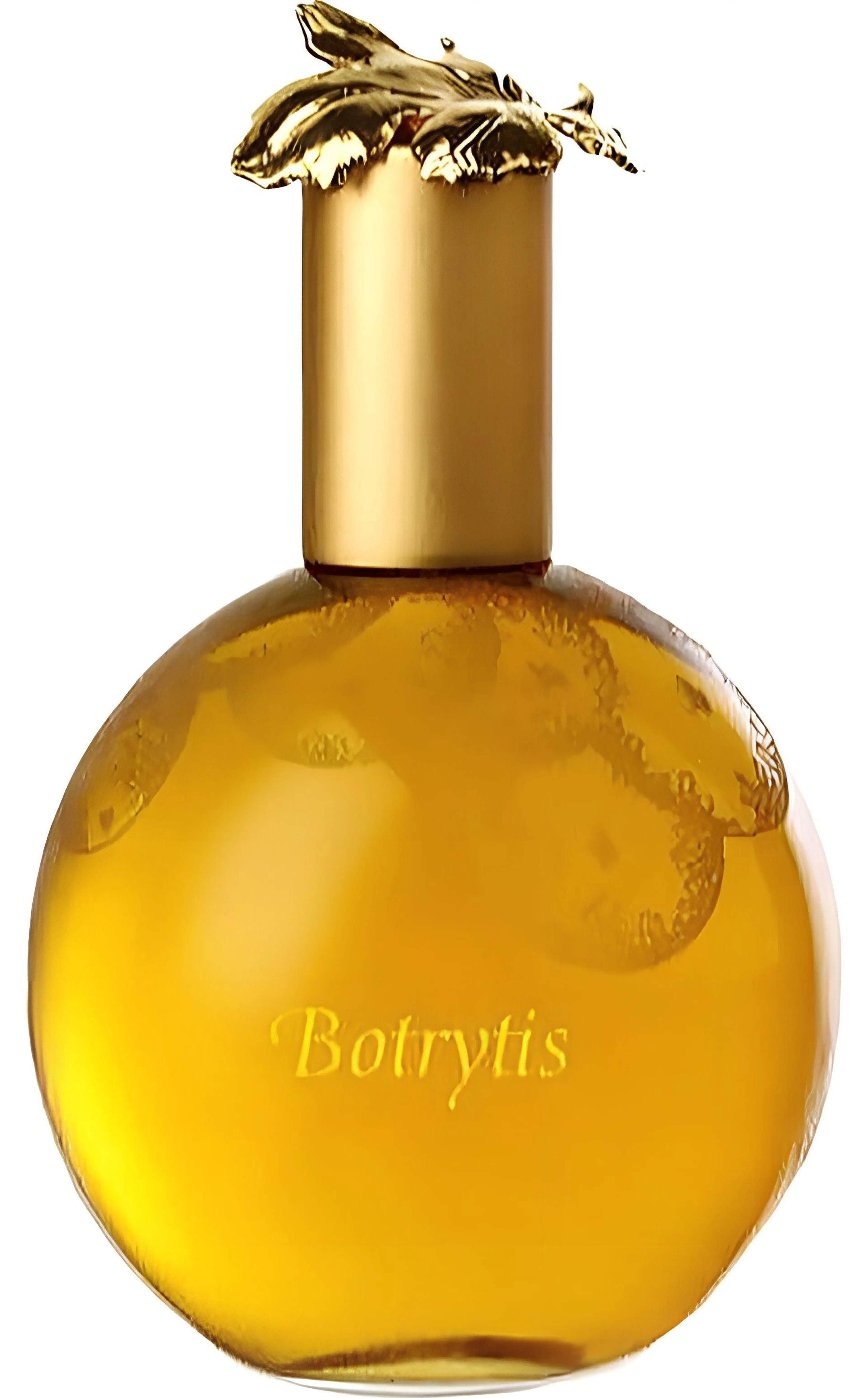 Botrytis