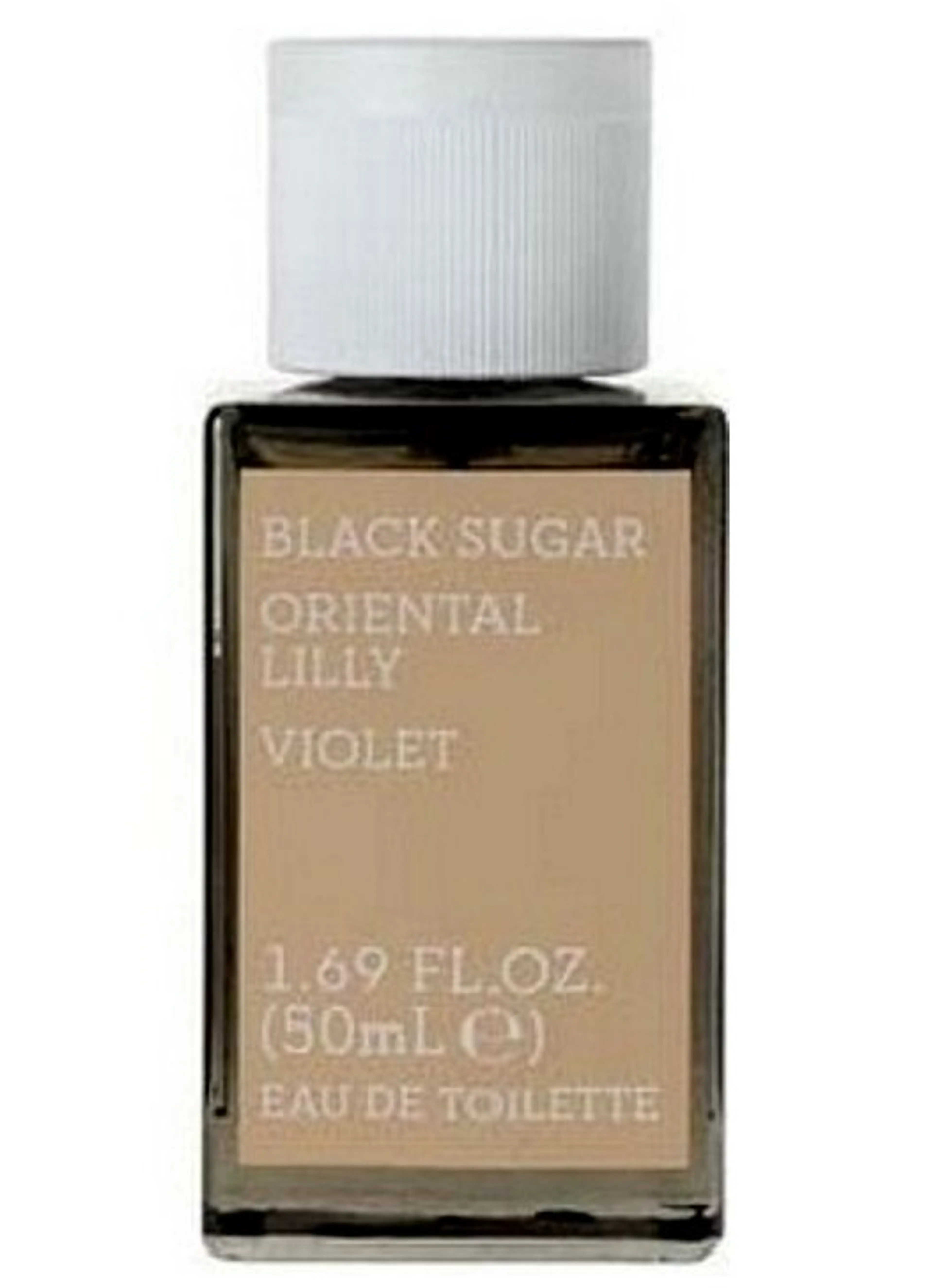 Black Sugar Oriental Lily Violet