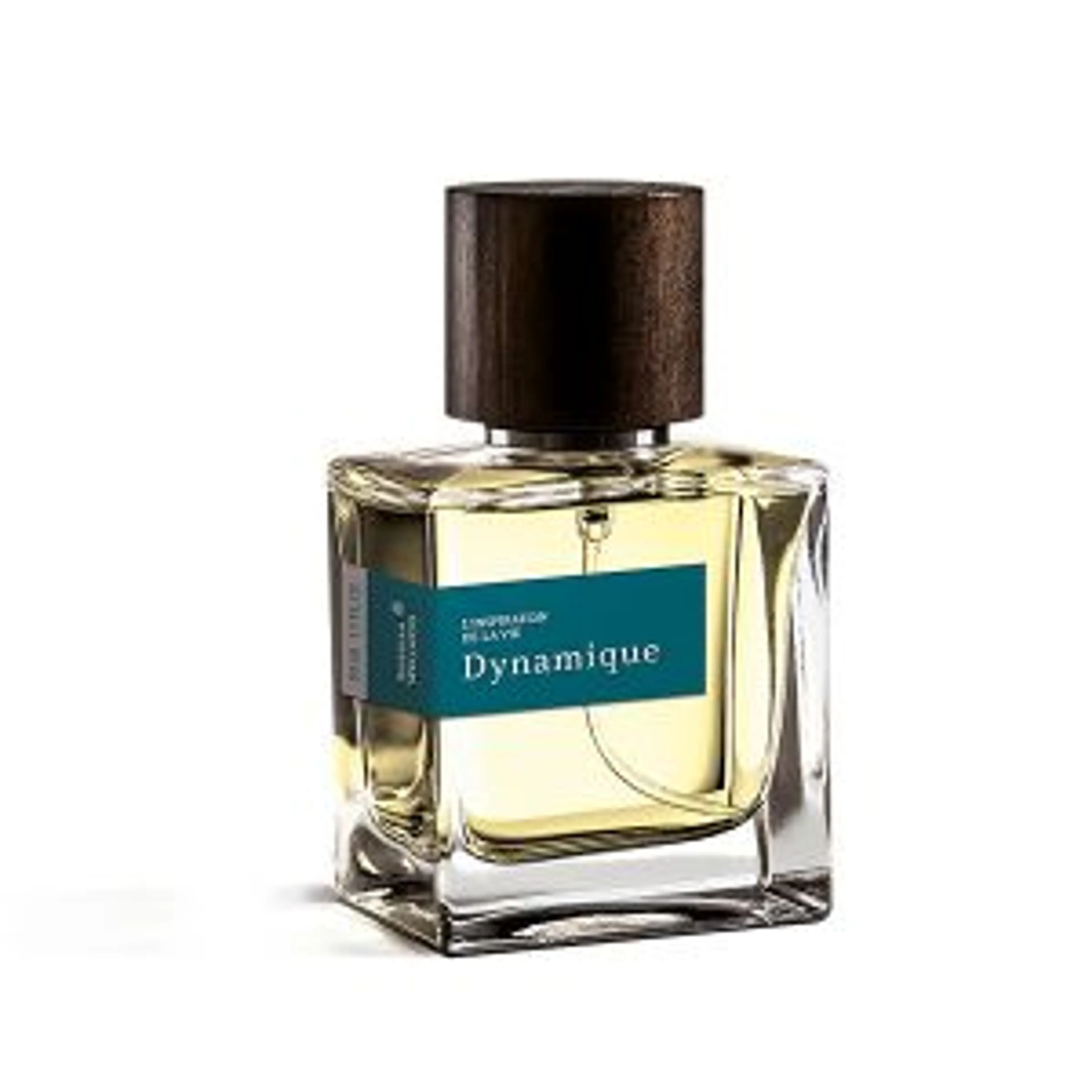 Dynamique