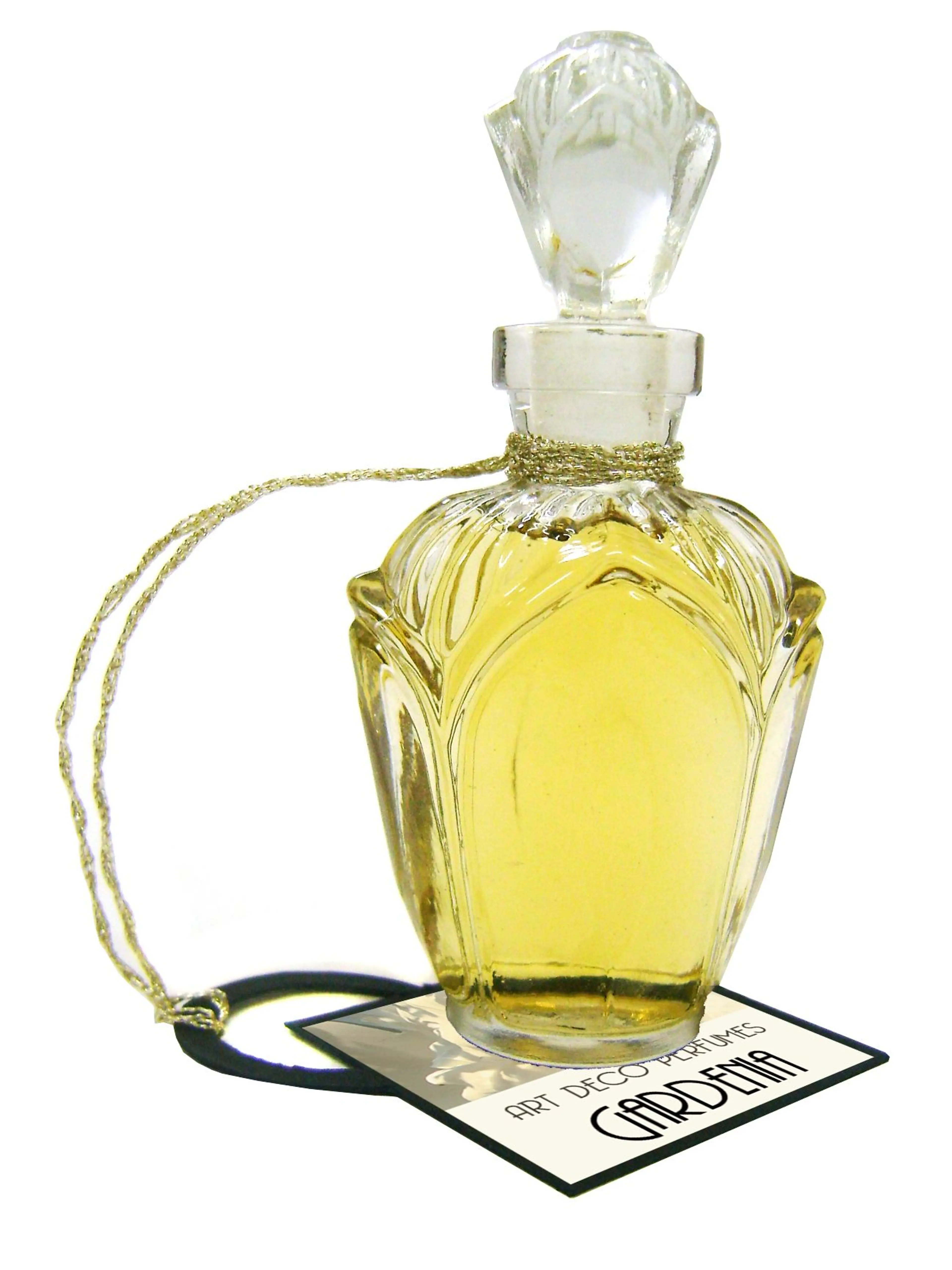 Gardenia