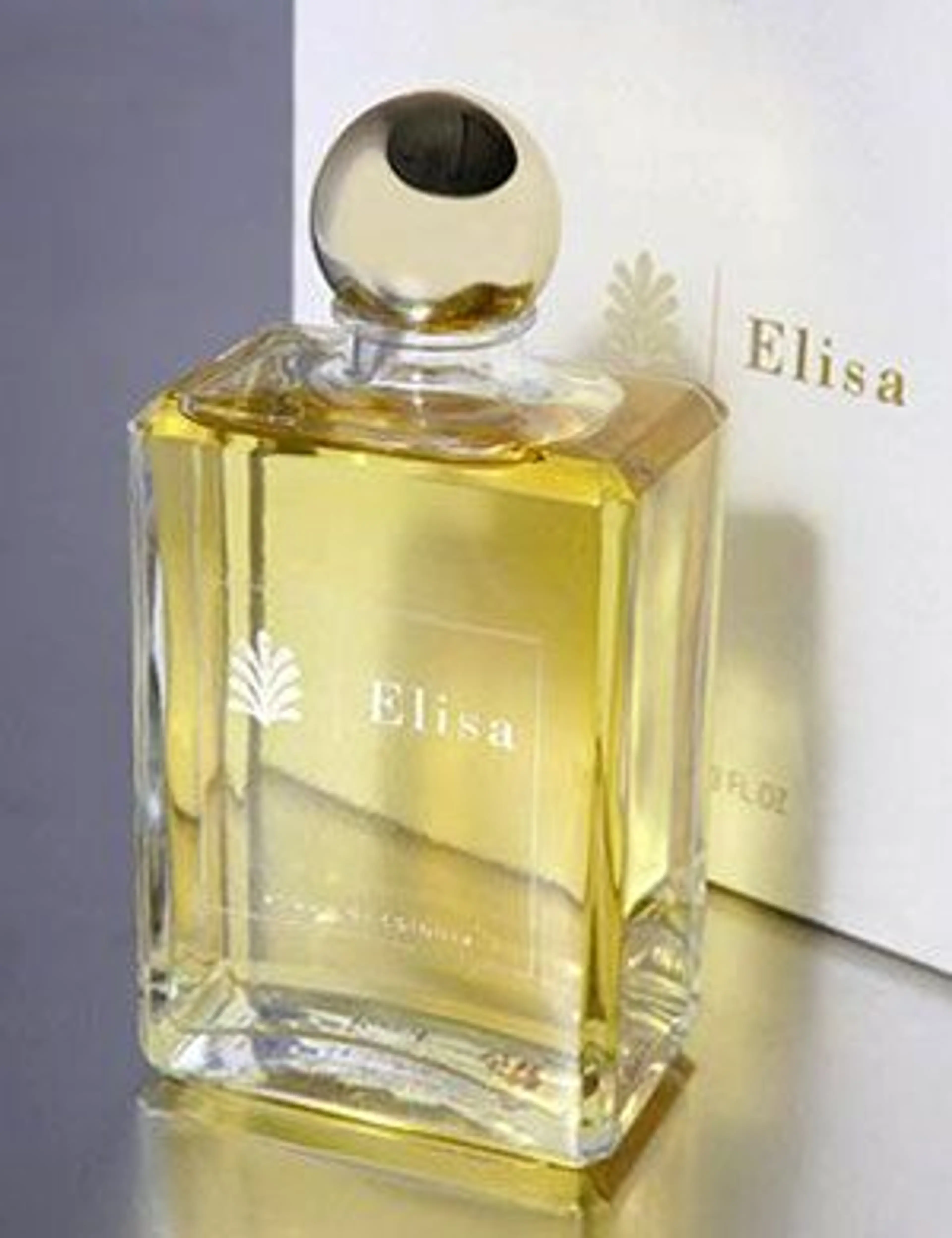 Elisa