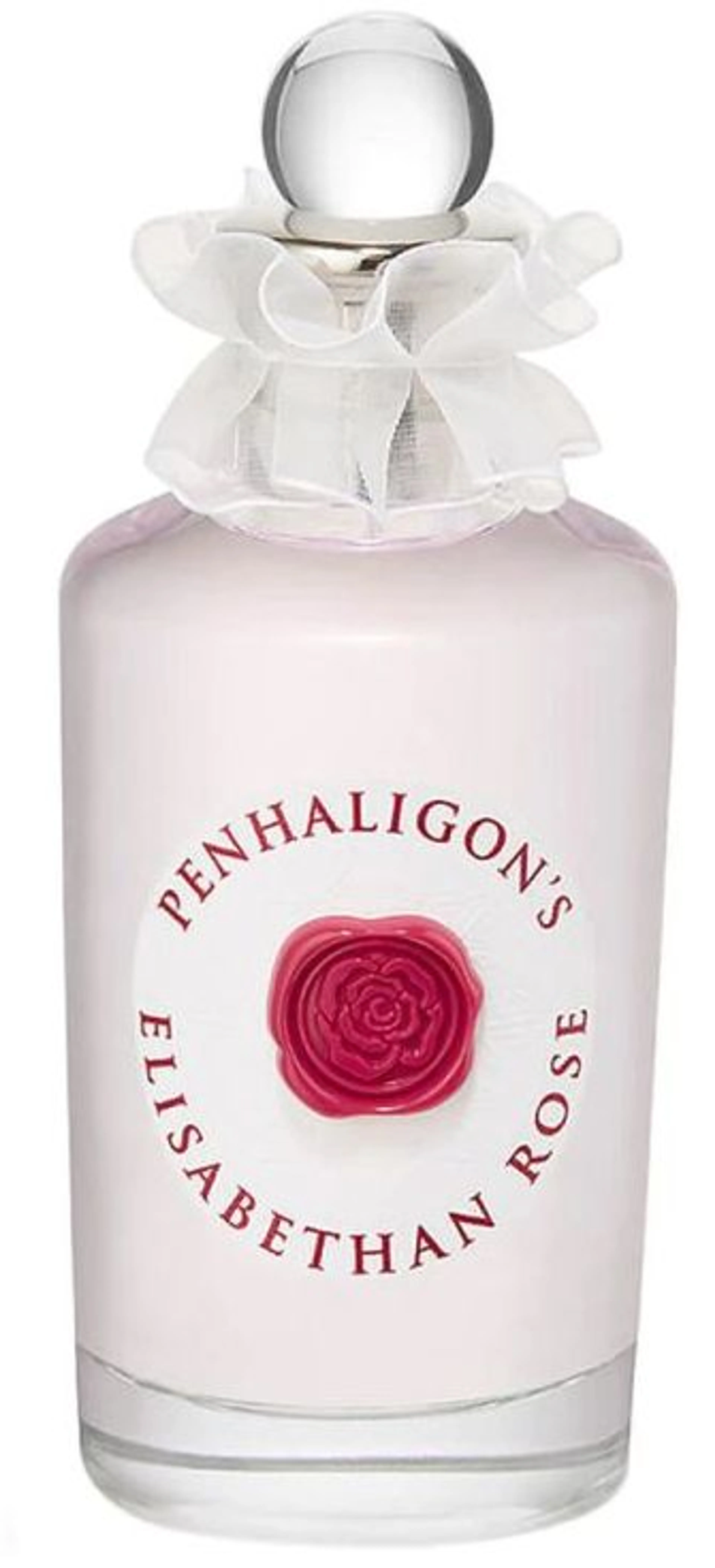 Elisabethan Rose