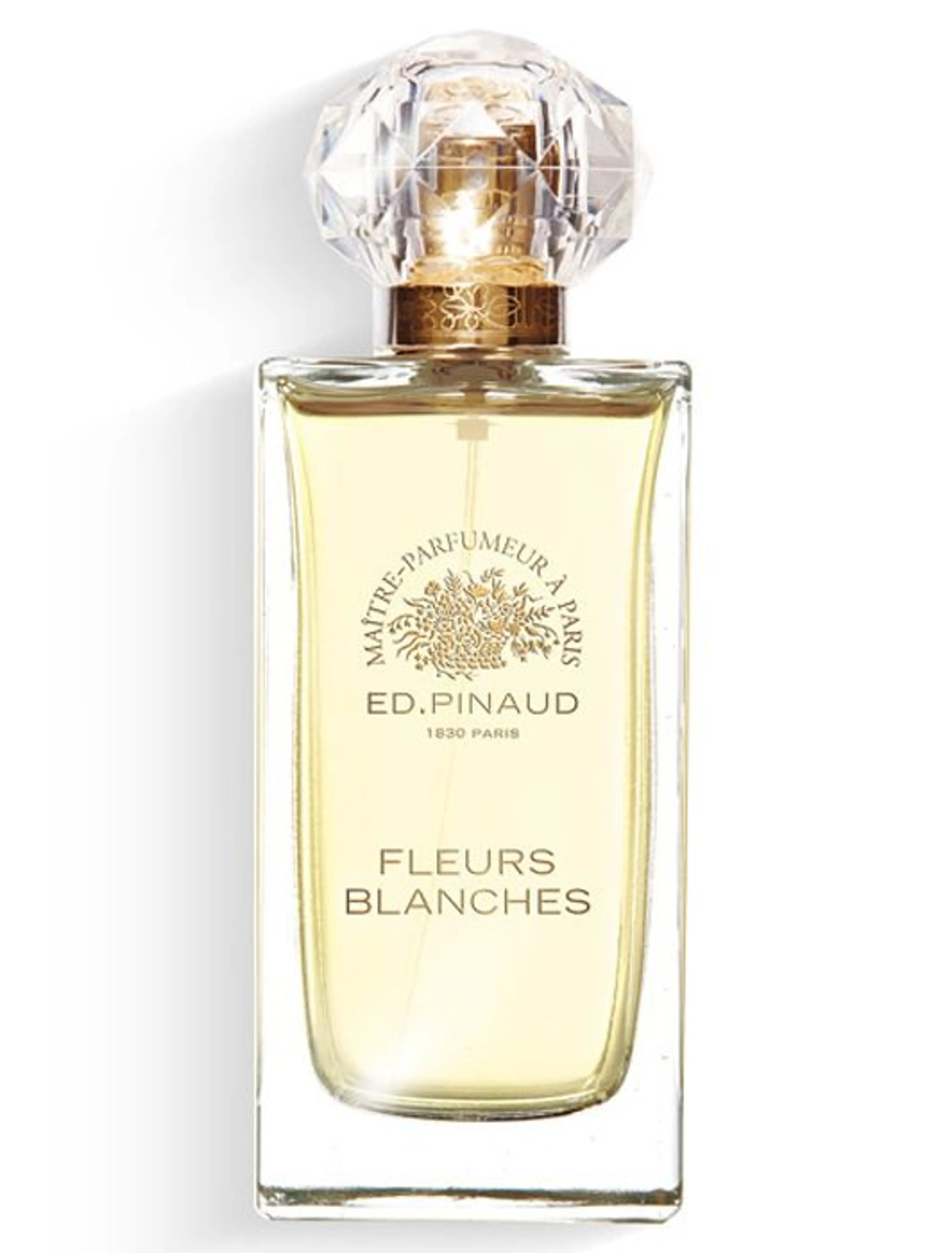 Fleurs Blanches