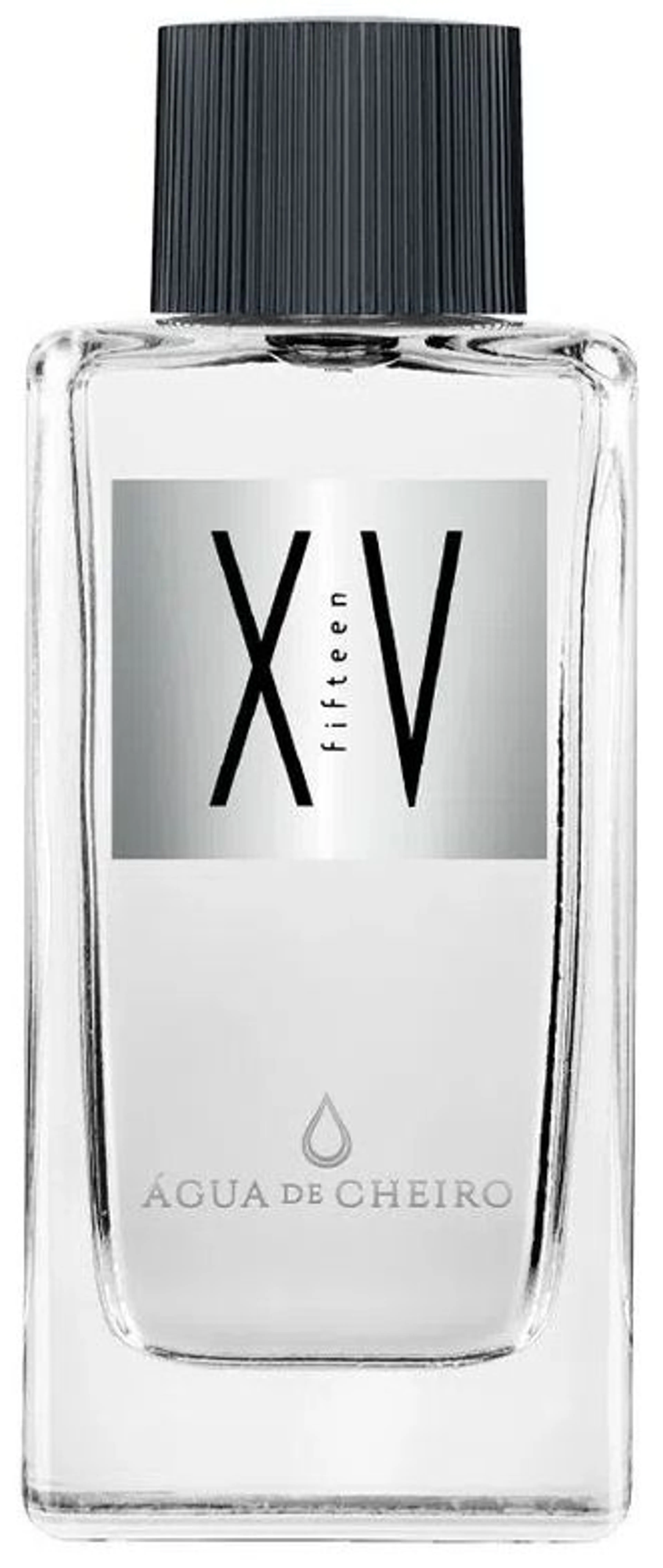 Fifteen XV