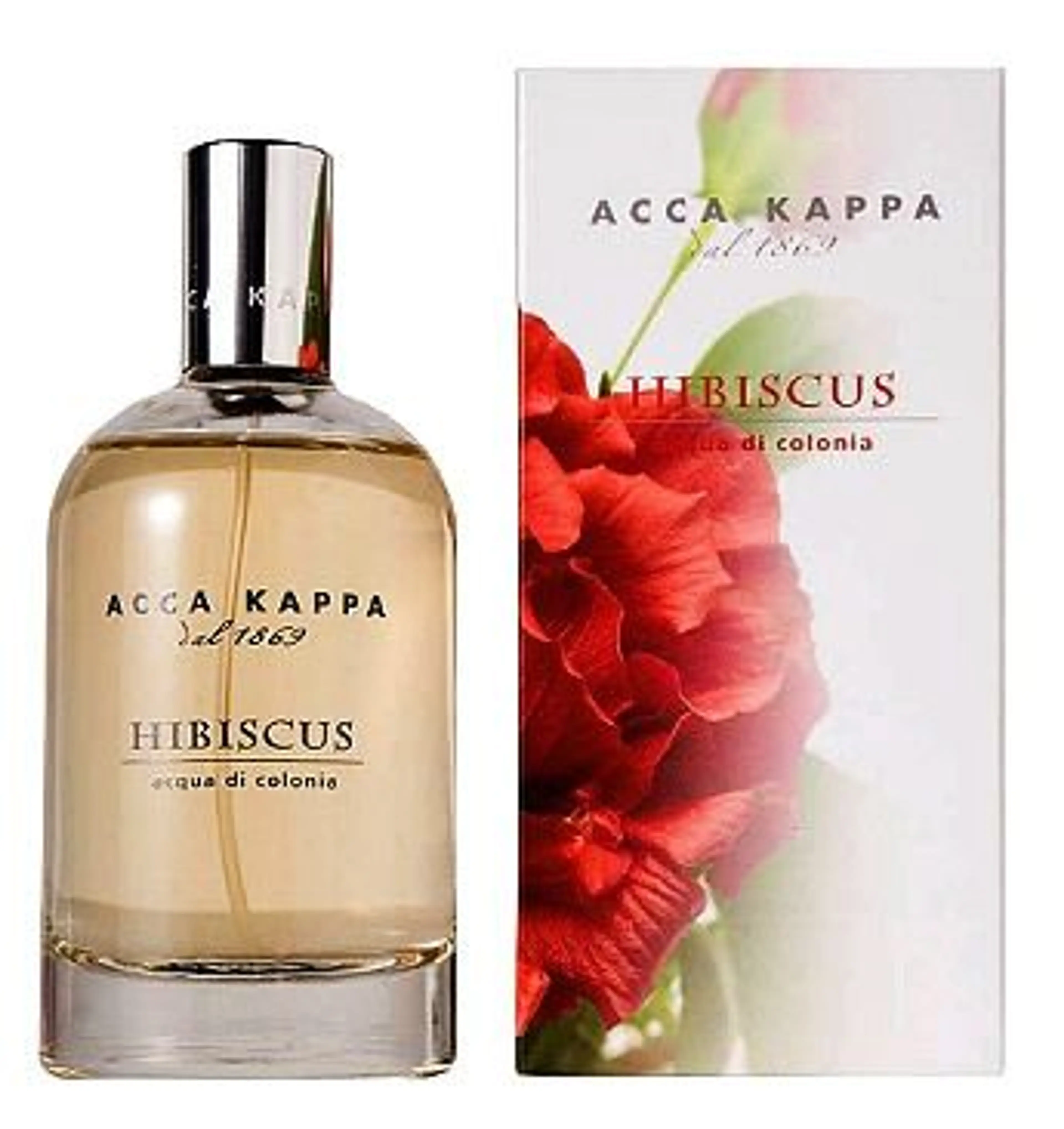 Hibiscus