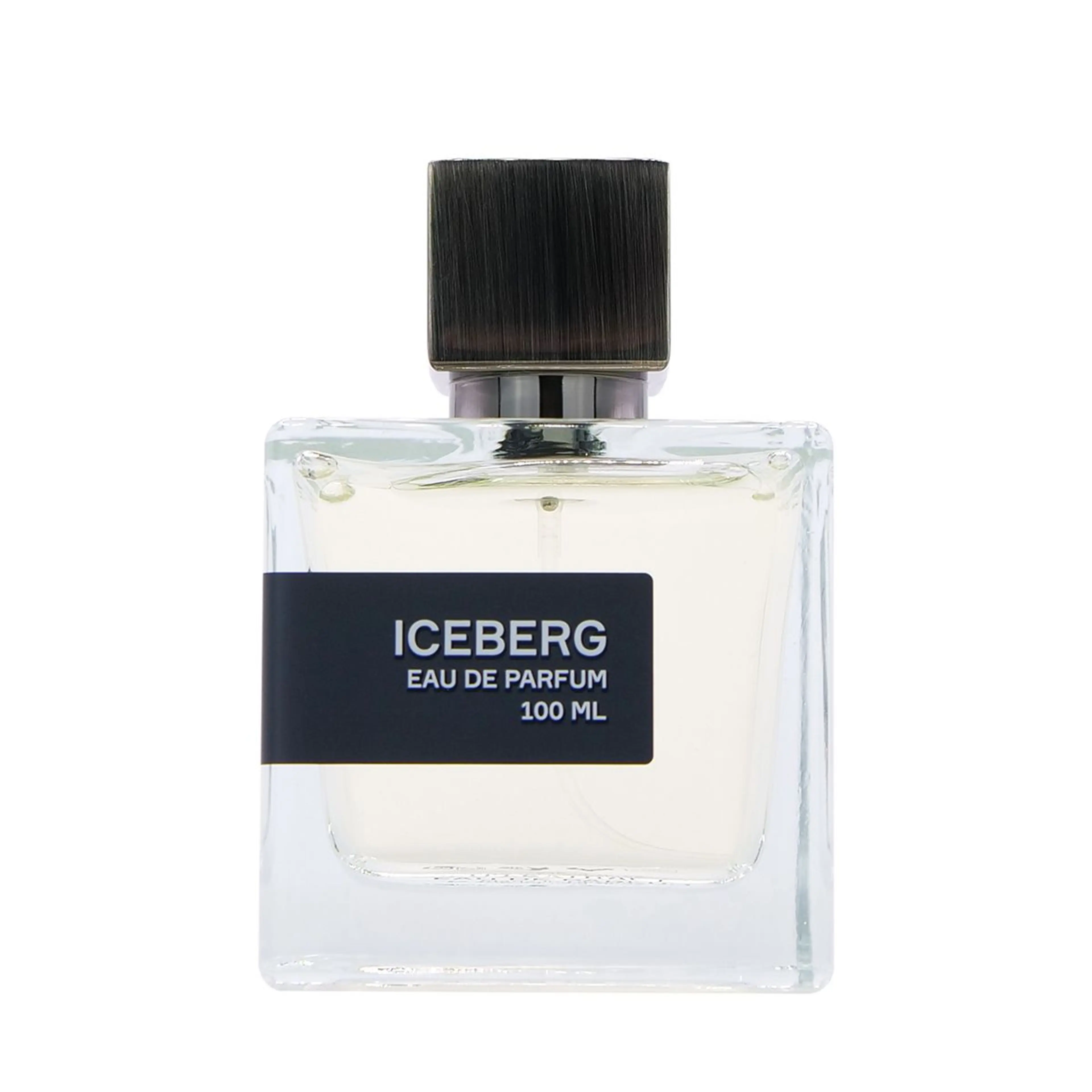 Iceberg