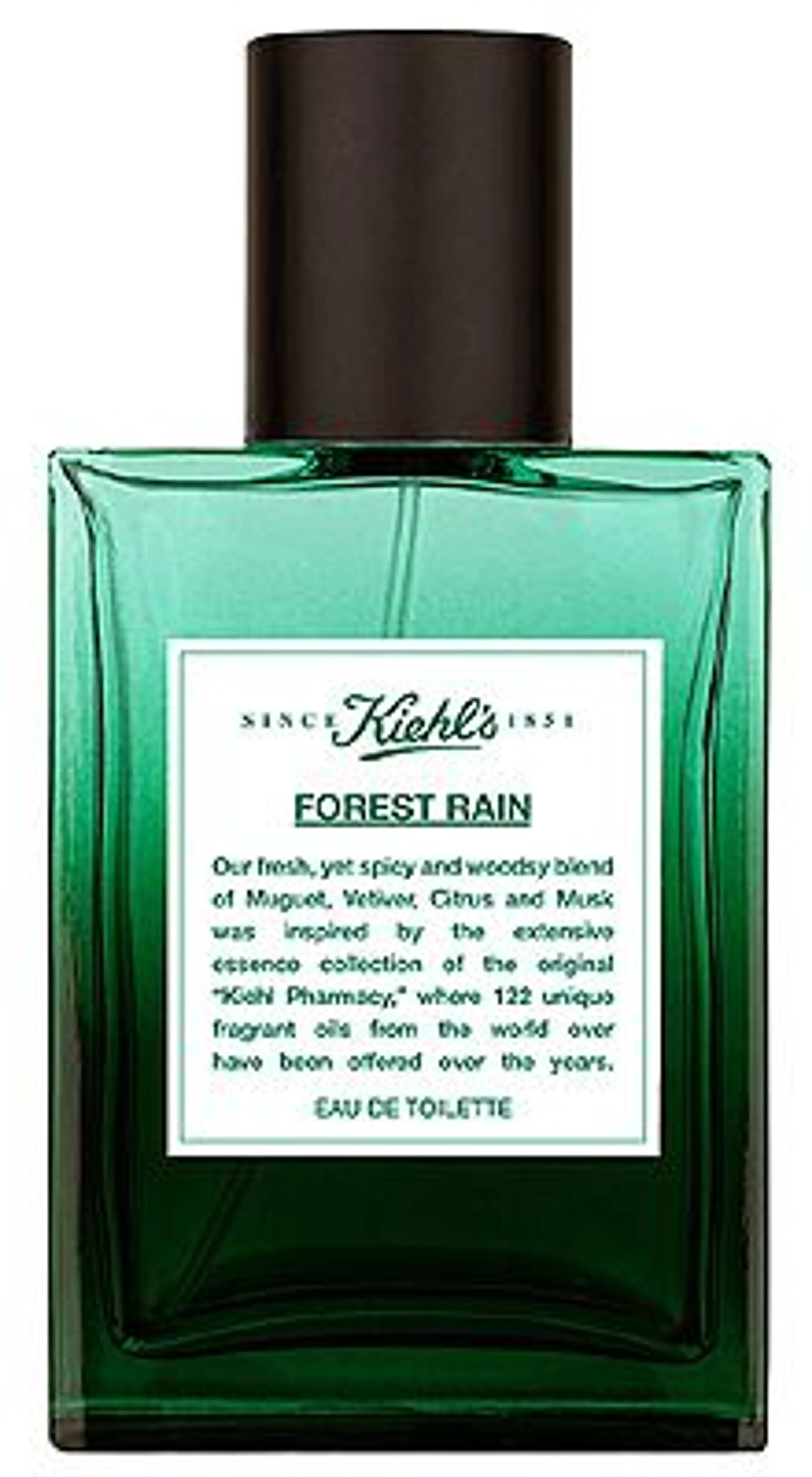 Forest Rain