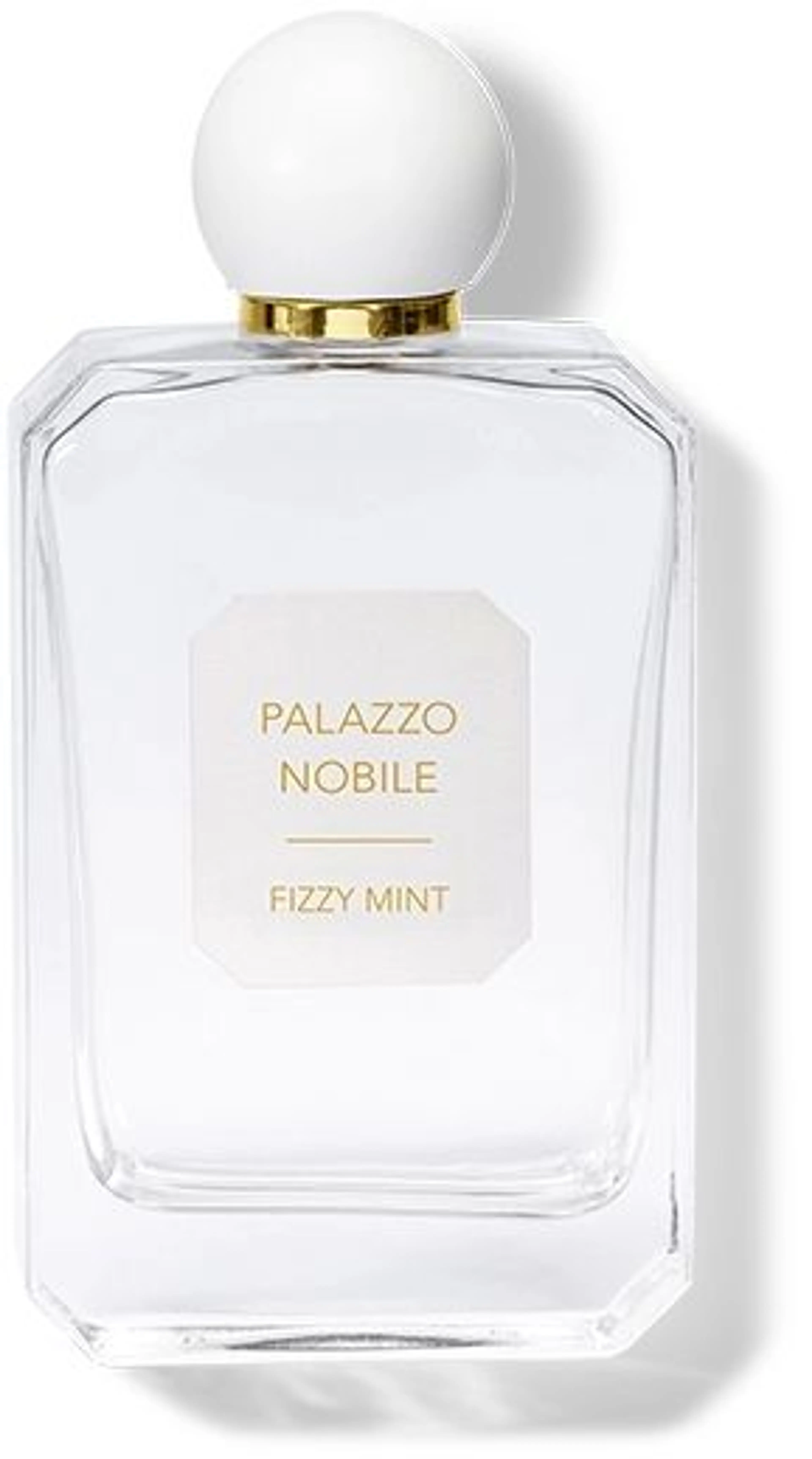 Fizzy Mint