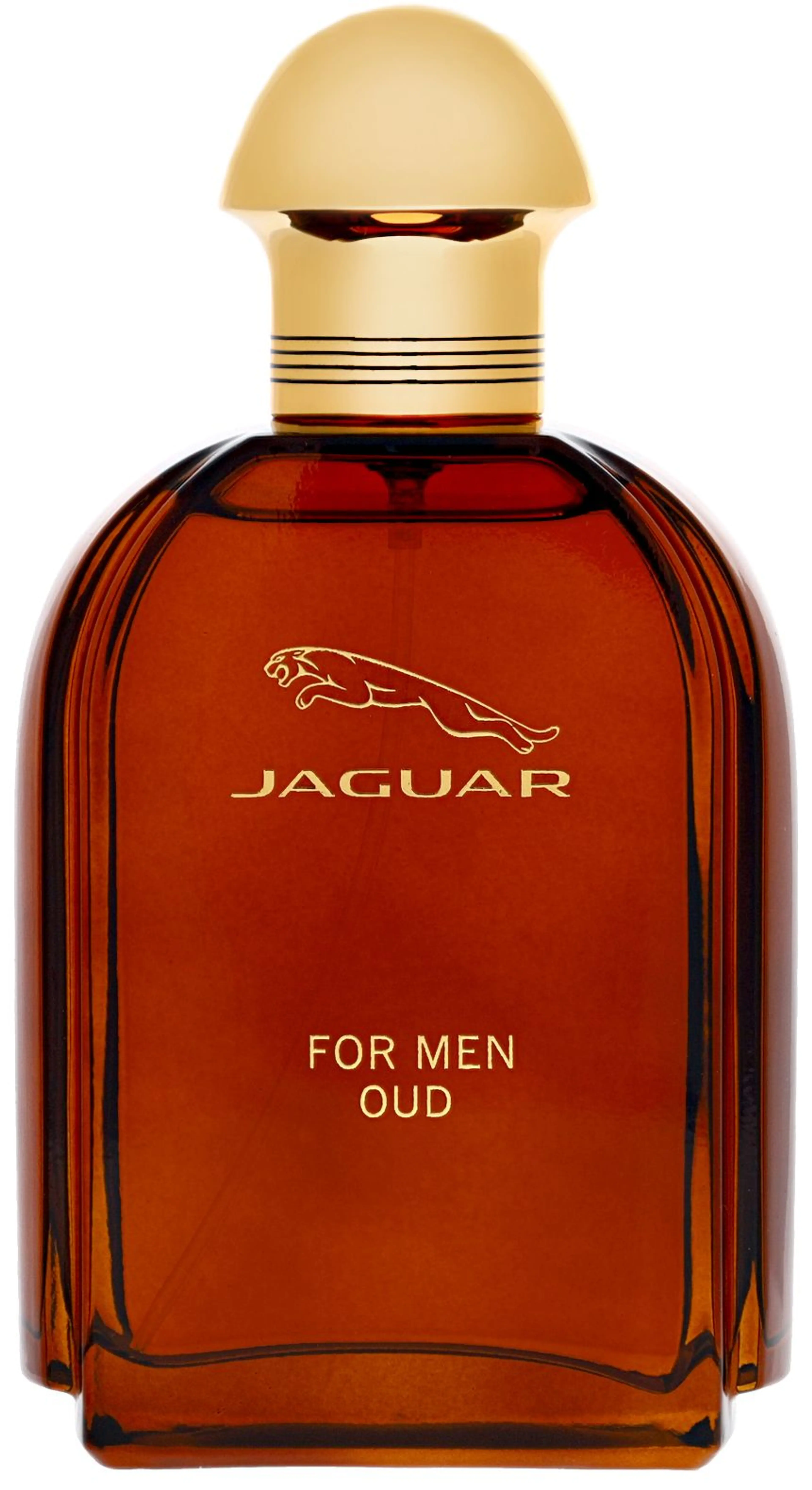 Jaguar For Men Oud