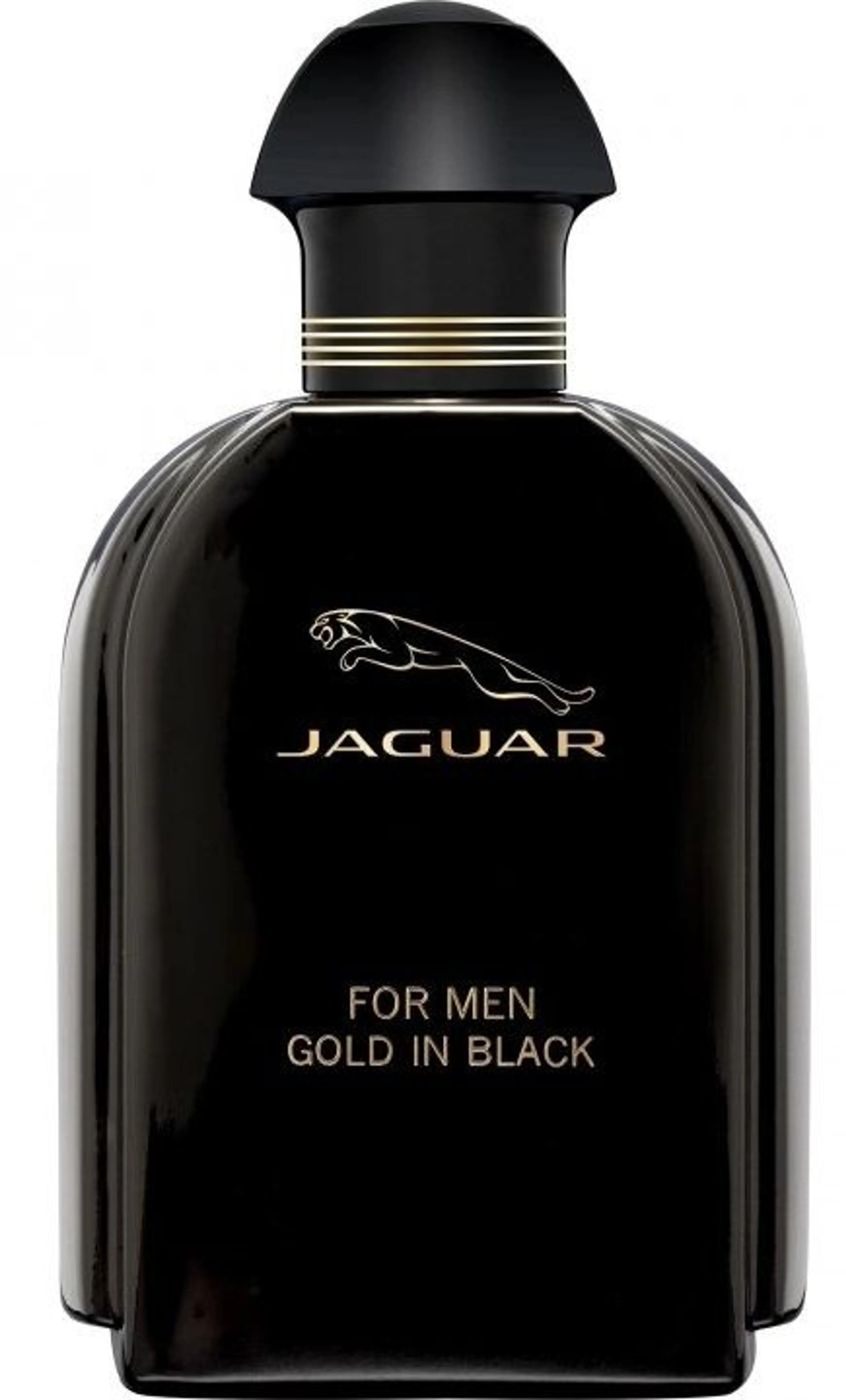 Jaguar For Men Gold in Black