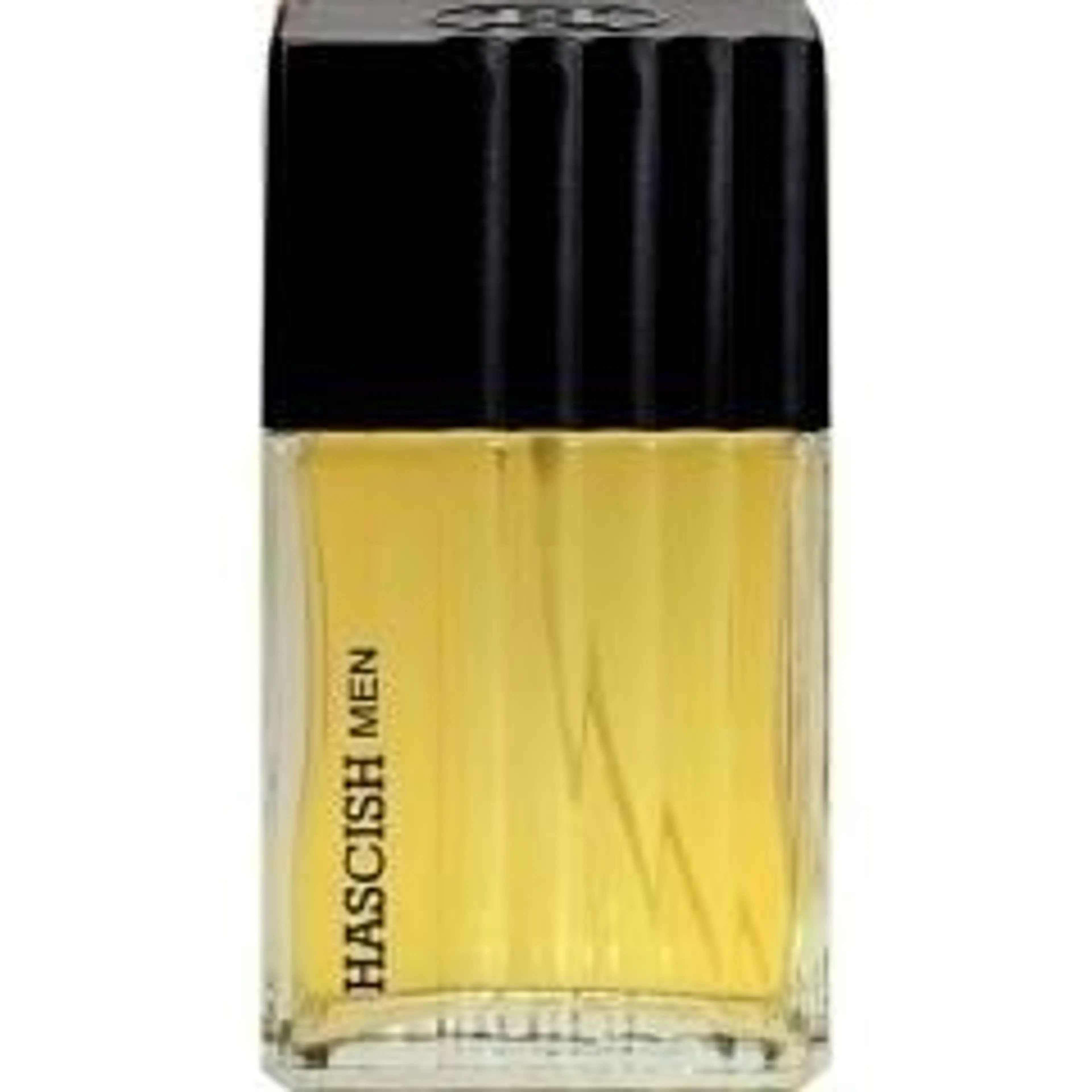 Hascish Homme