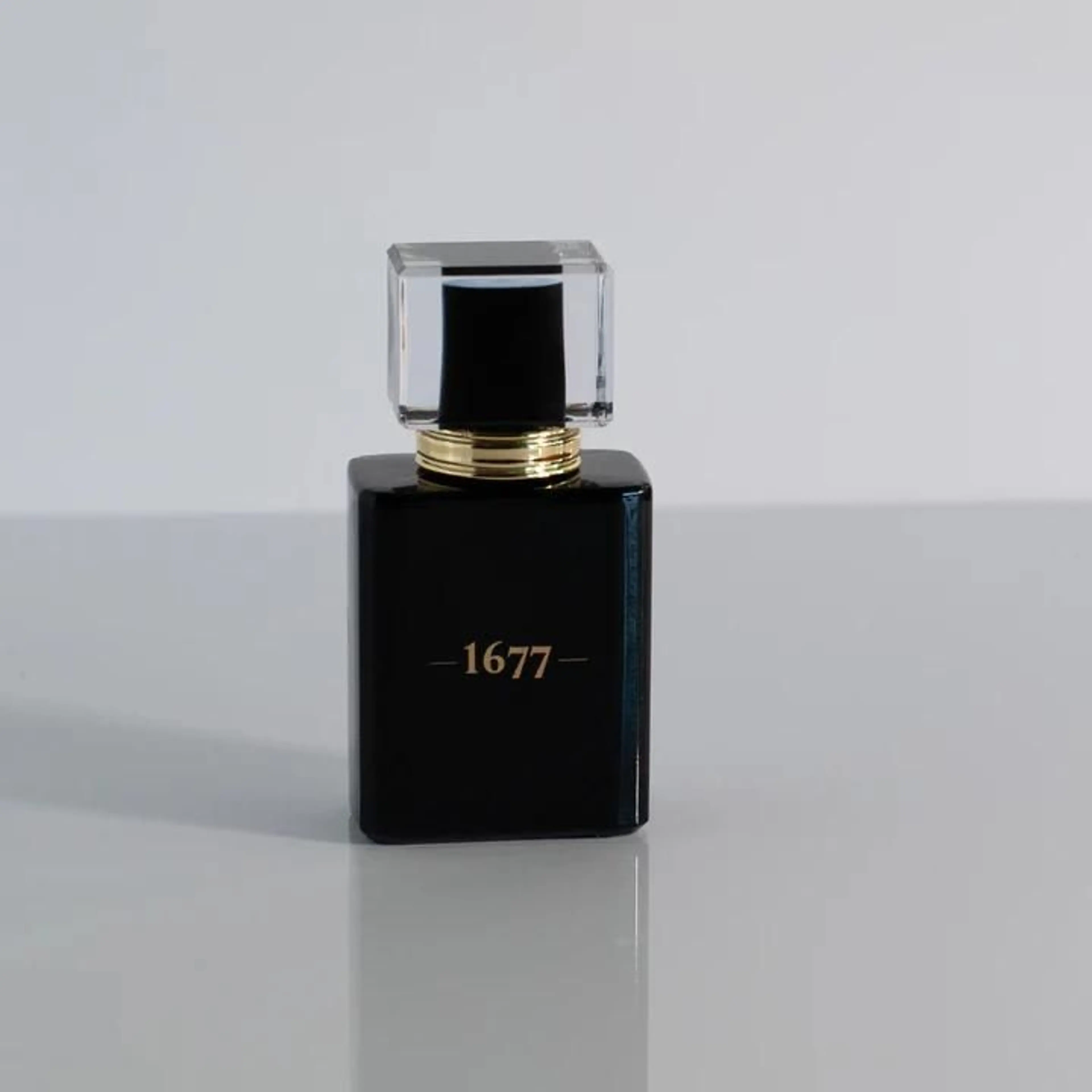 Gentlemen 1677