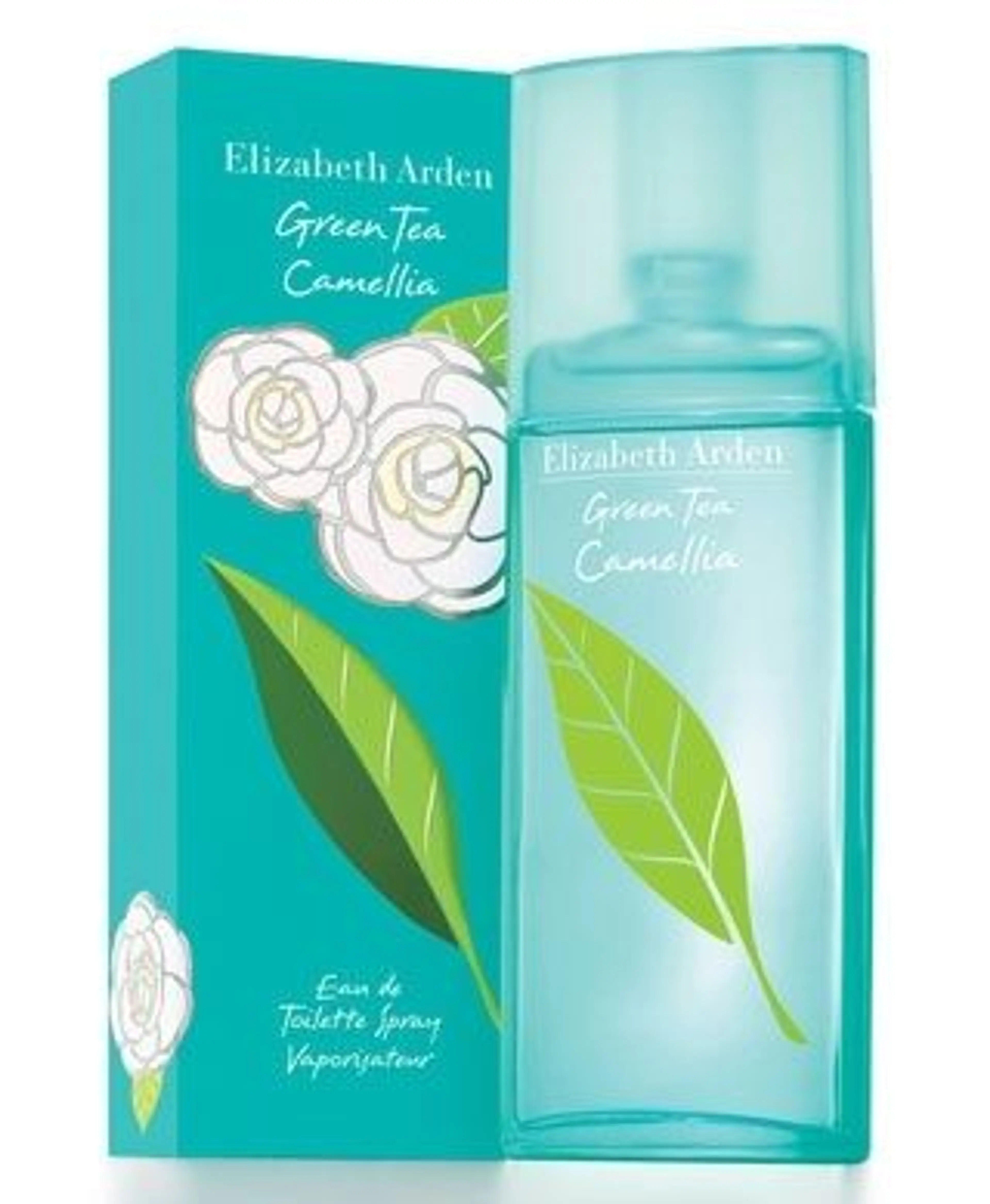 Green Tea Camellia