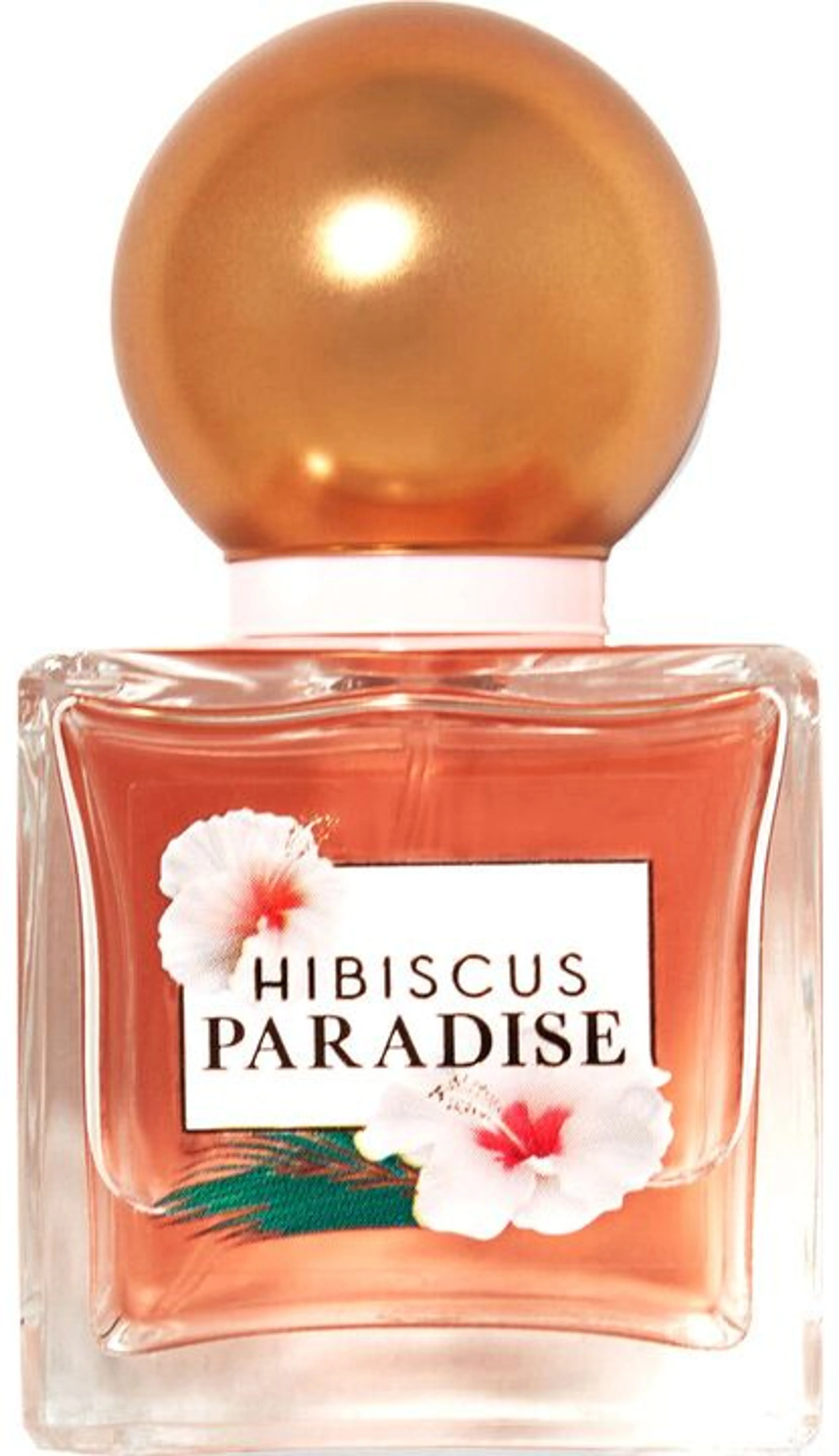 Hibiscus Paradise