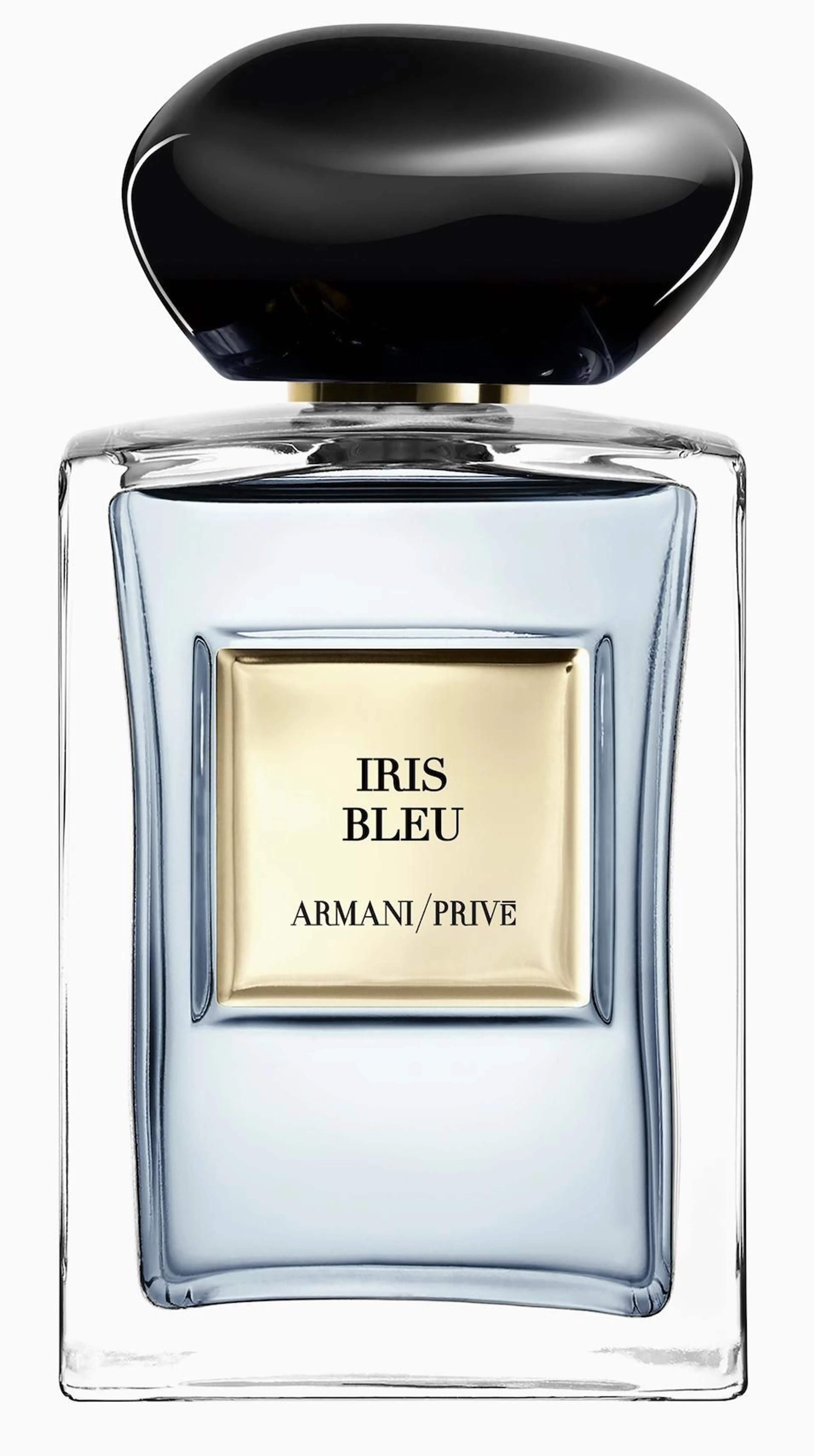 Iris Bleu