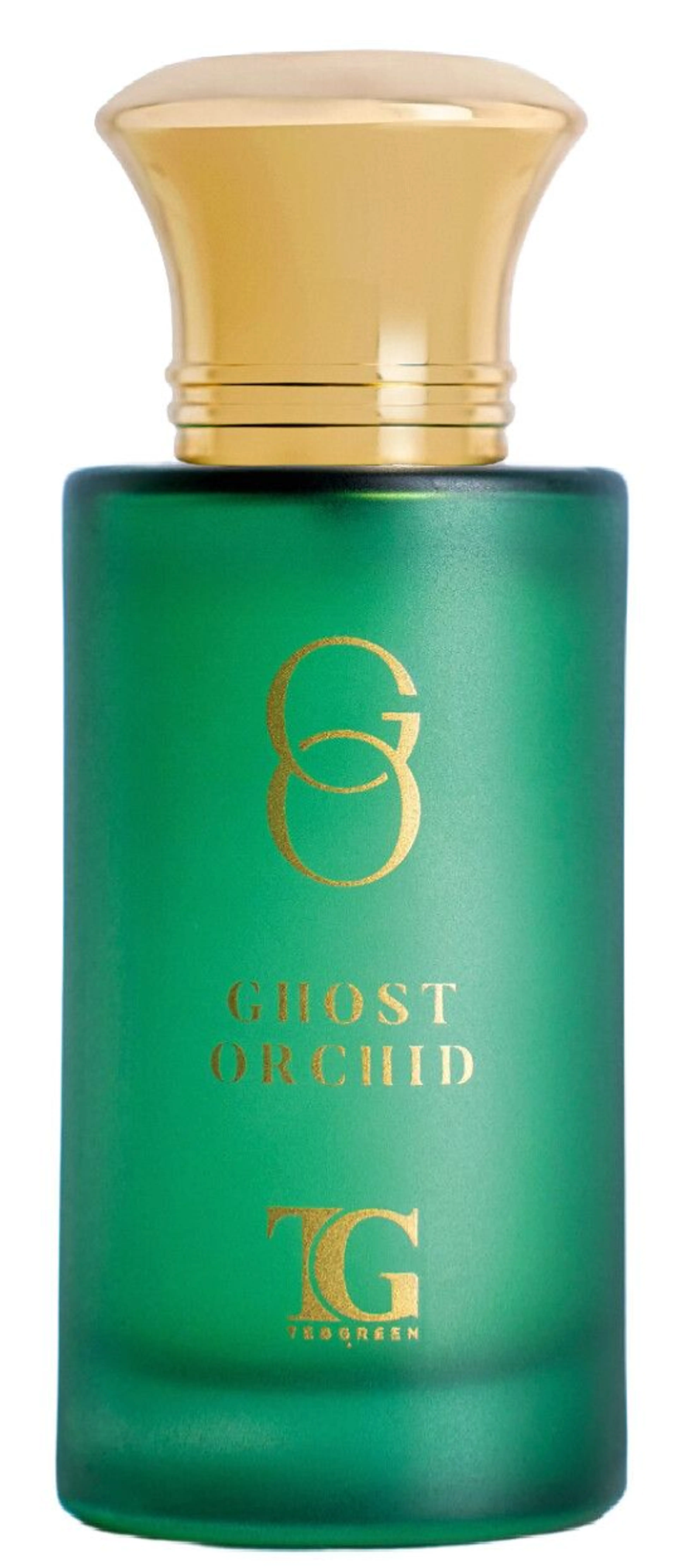 Ghost Orchid