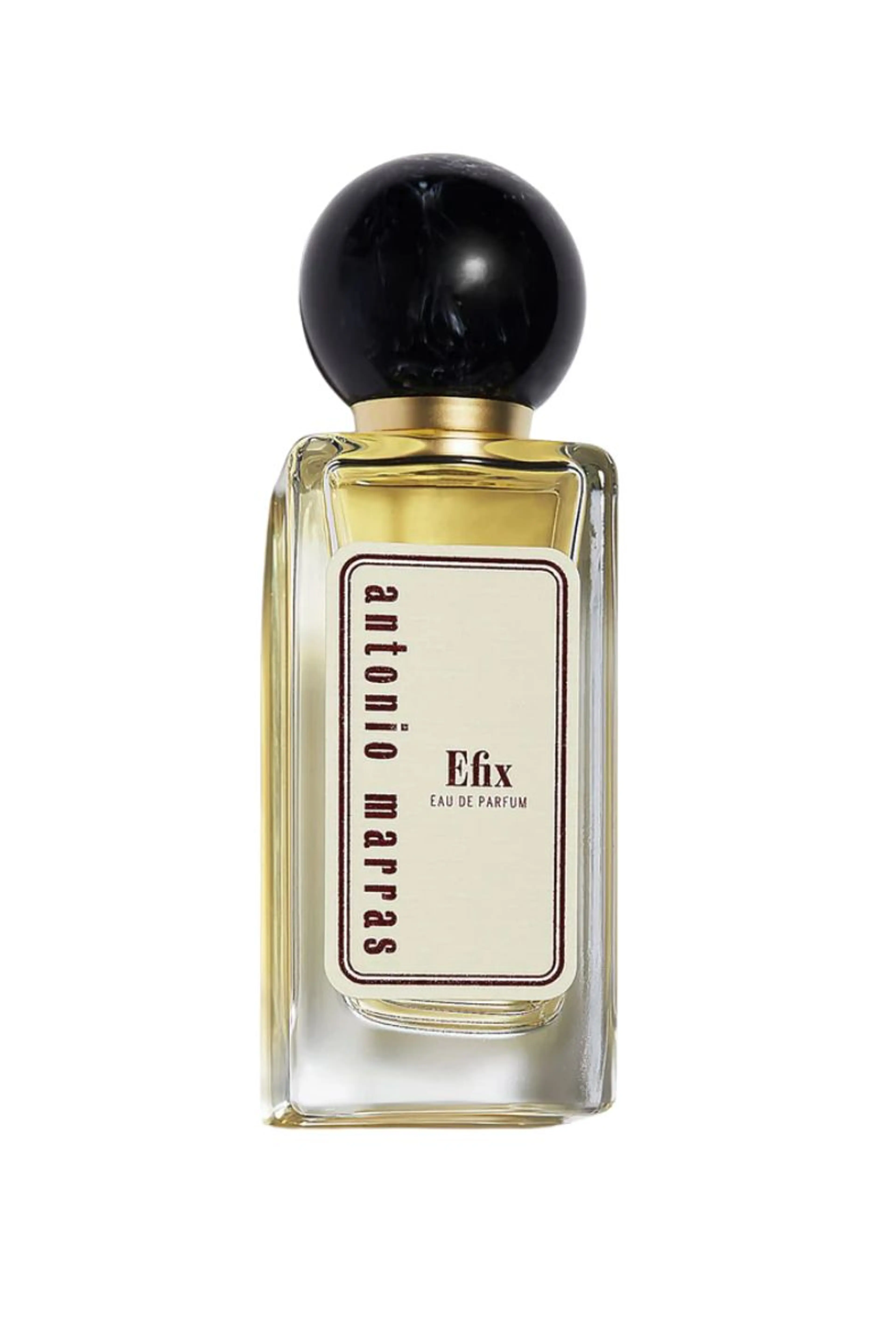 Efix