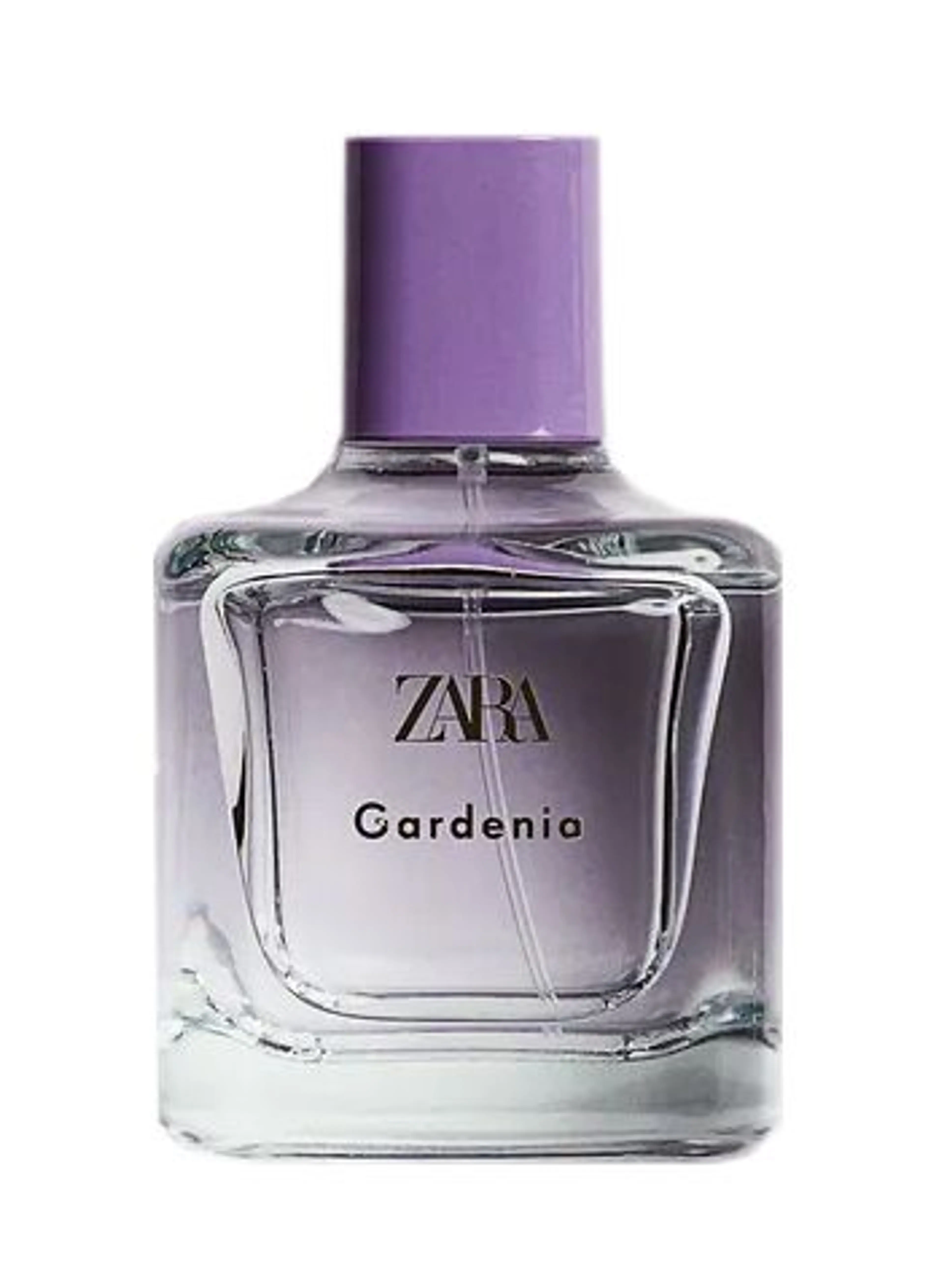 Gardenia