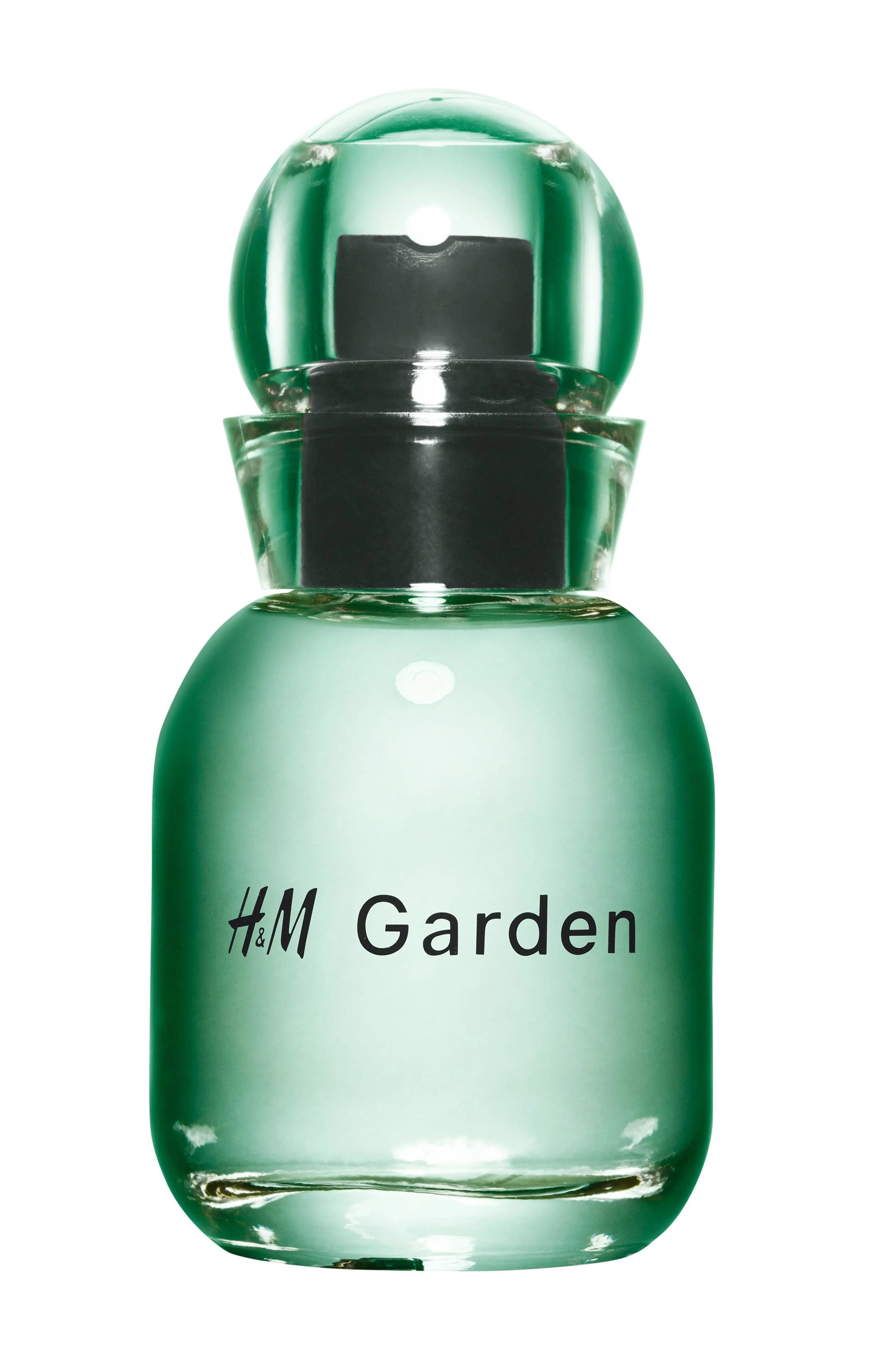 H&M Garden - Sunlit dew