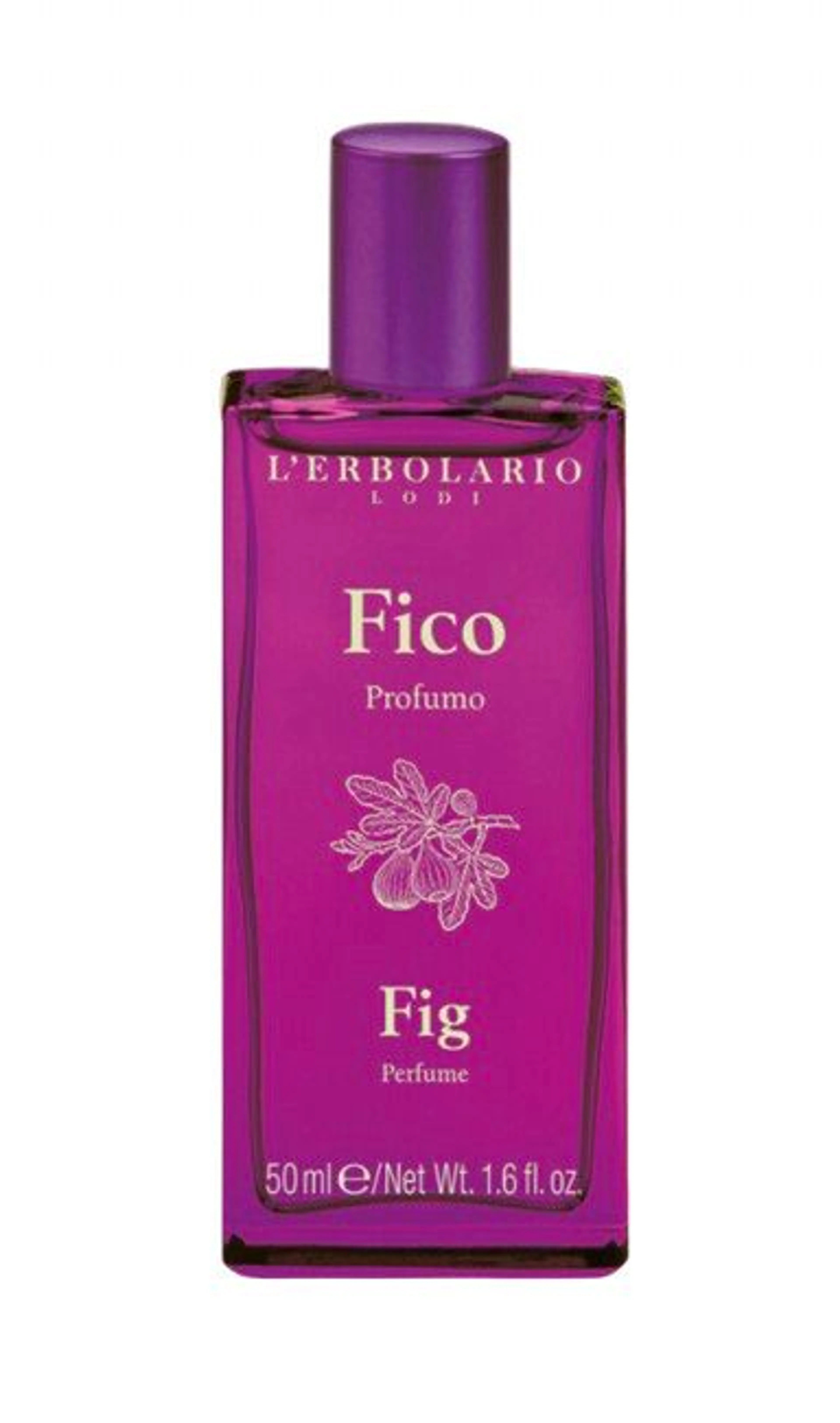 Fico / Fig