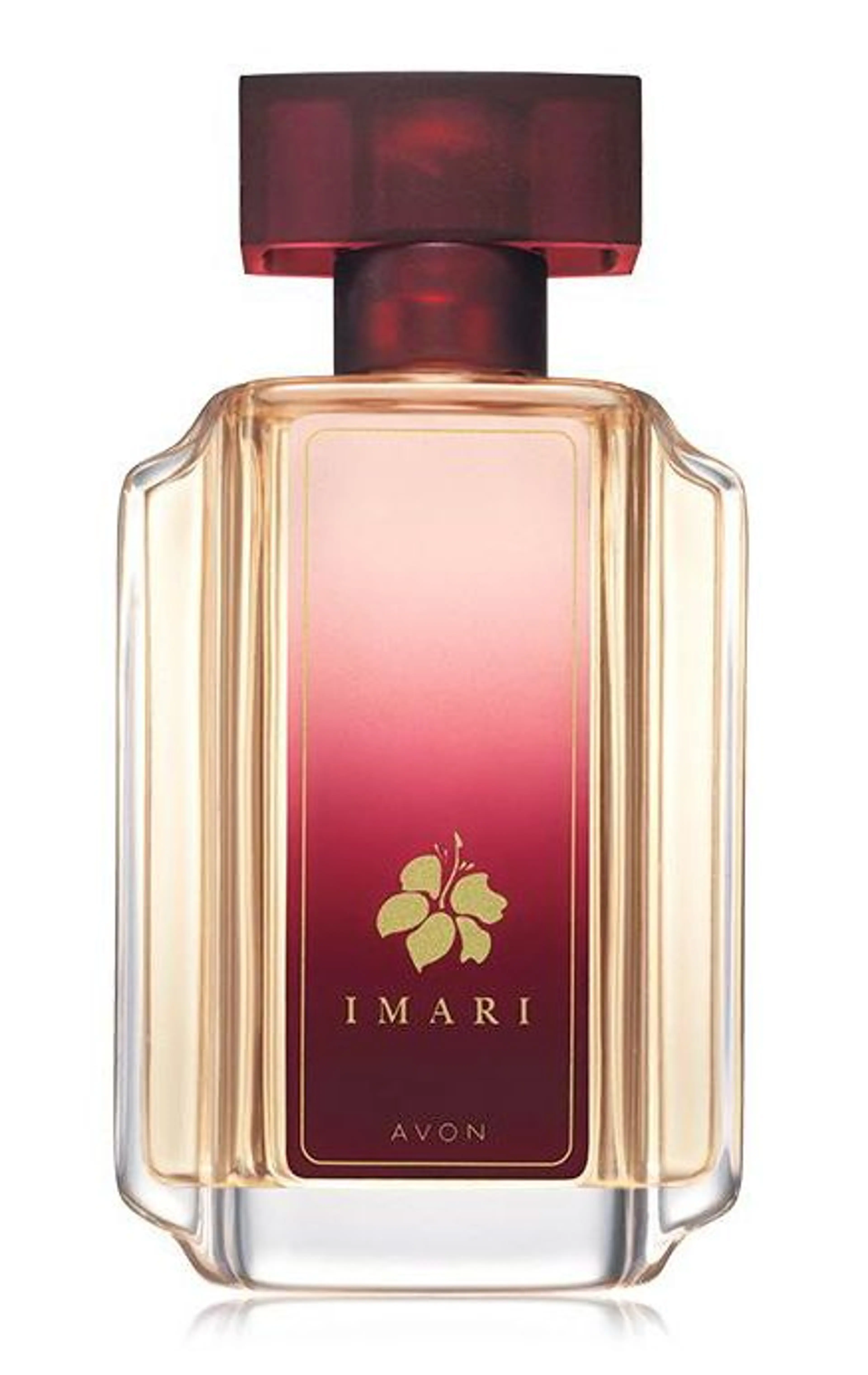 Imari 2015