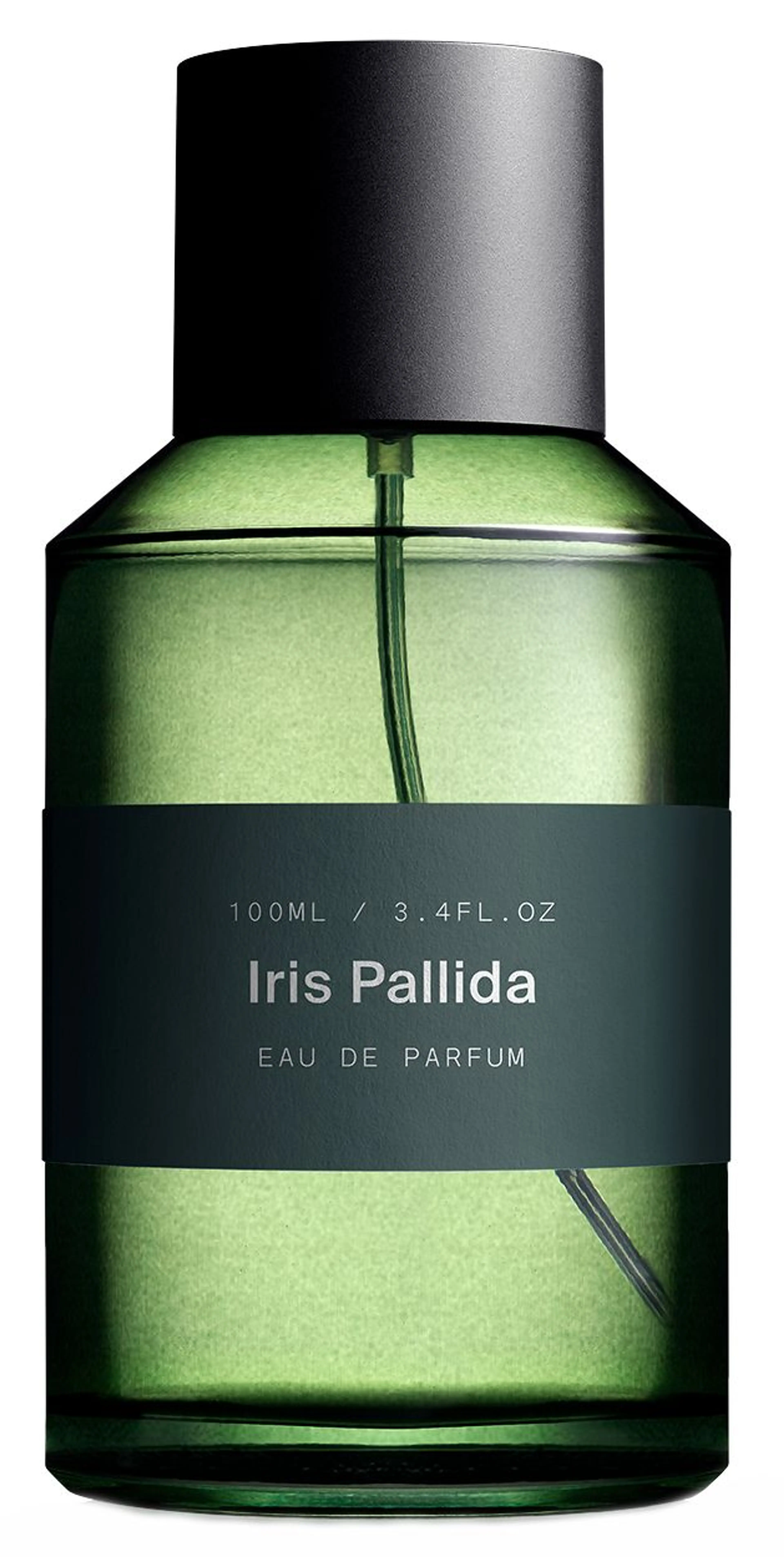 Iris Pallida