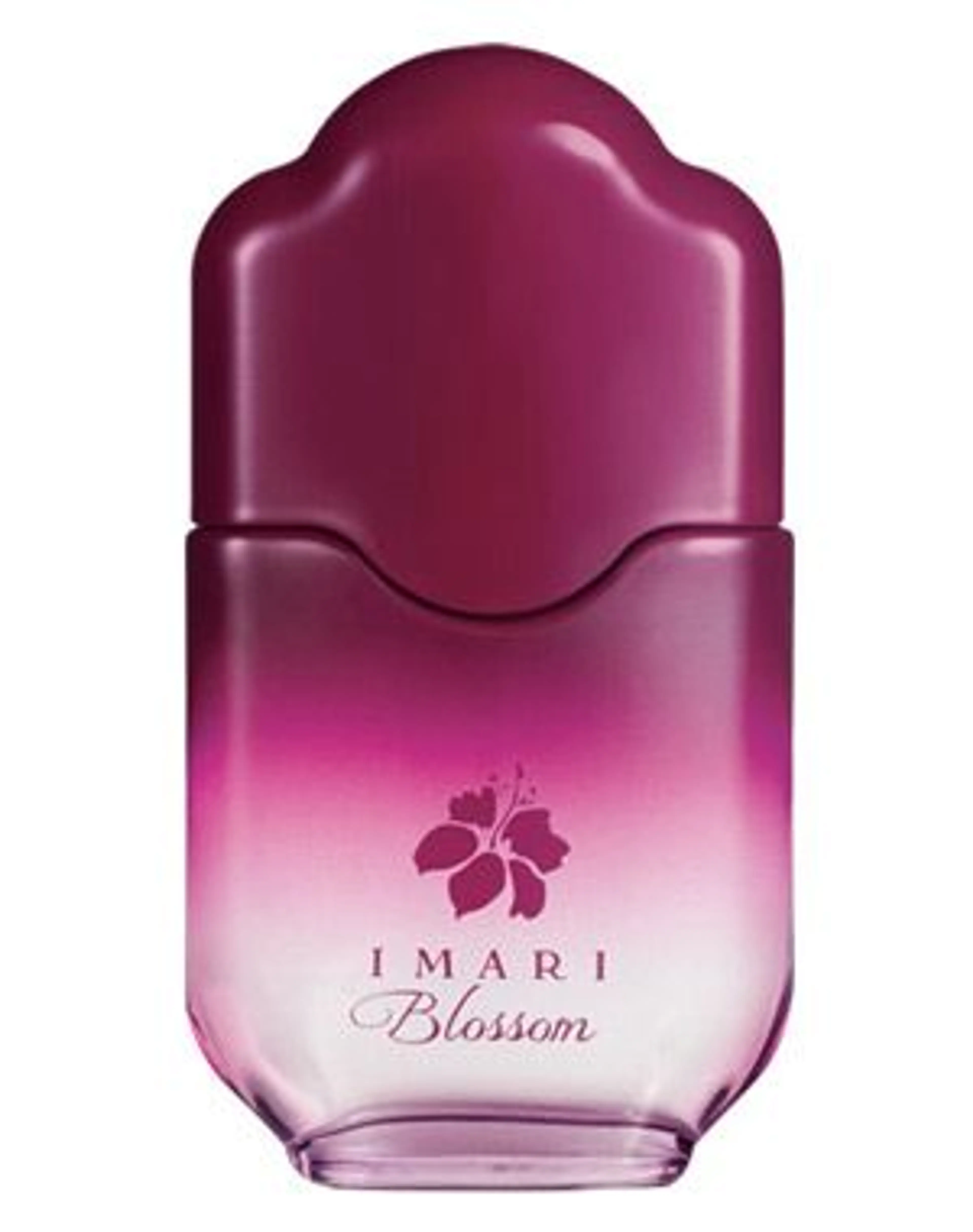 Imari Blossom