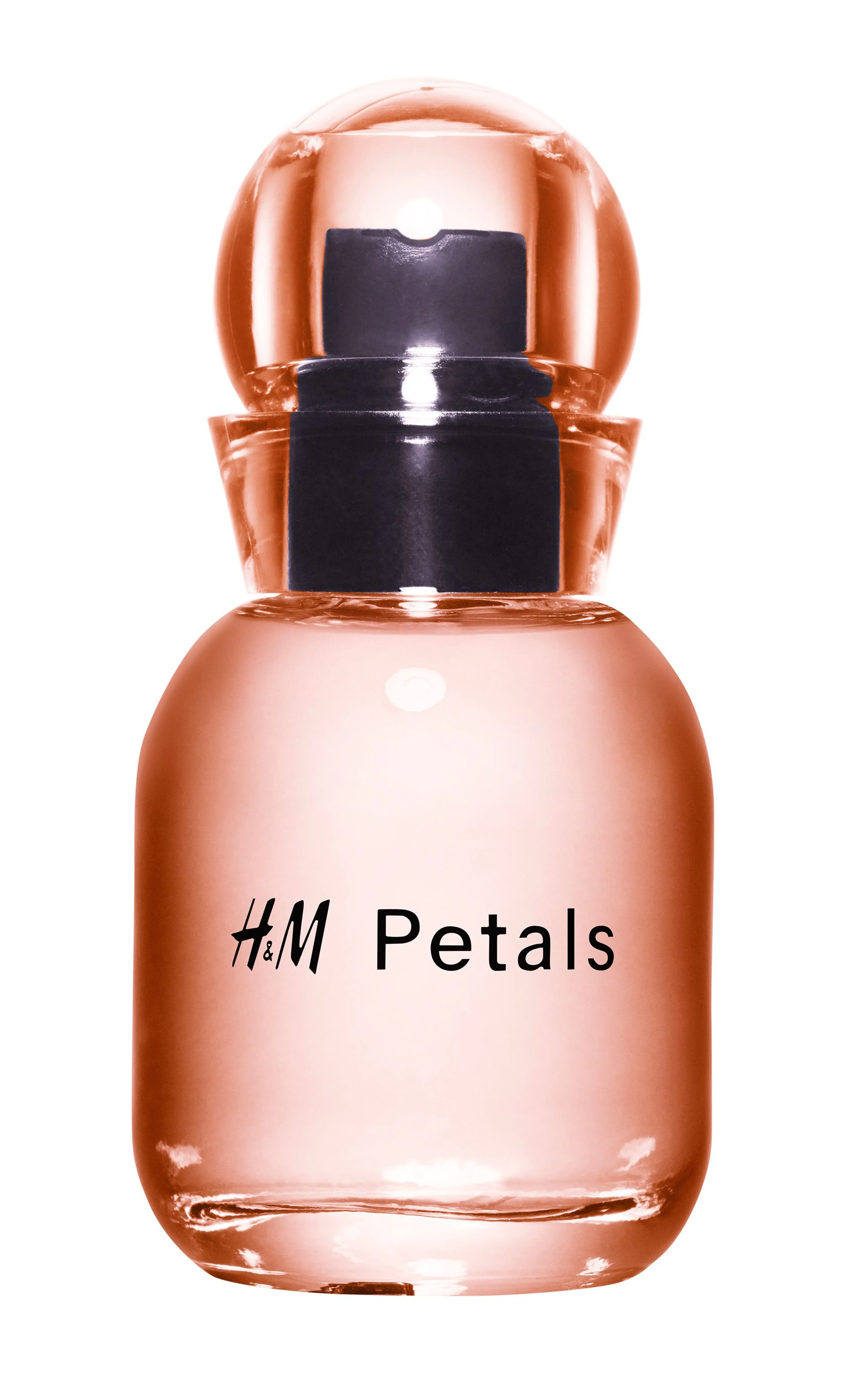 H&M Petals - Fresh Flowers