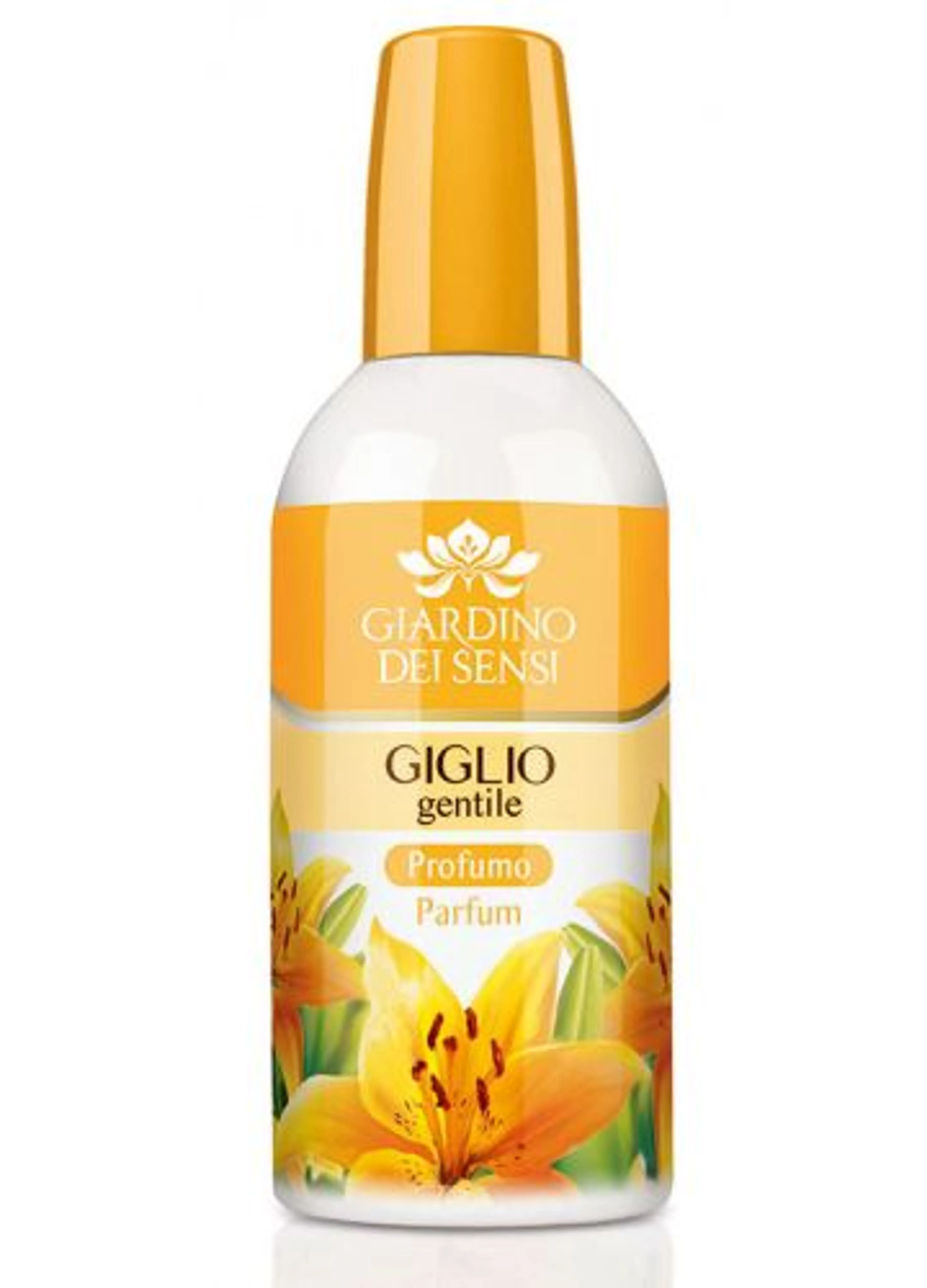 Giglio Gentile