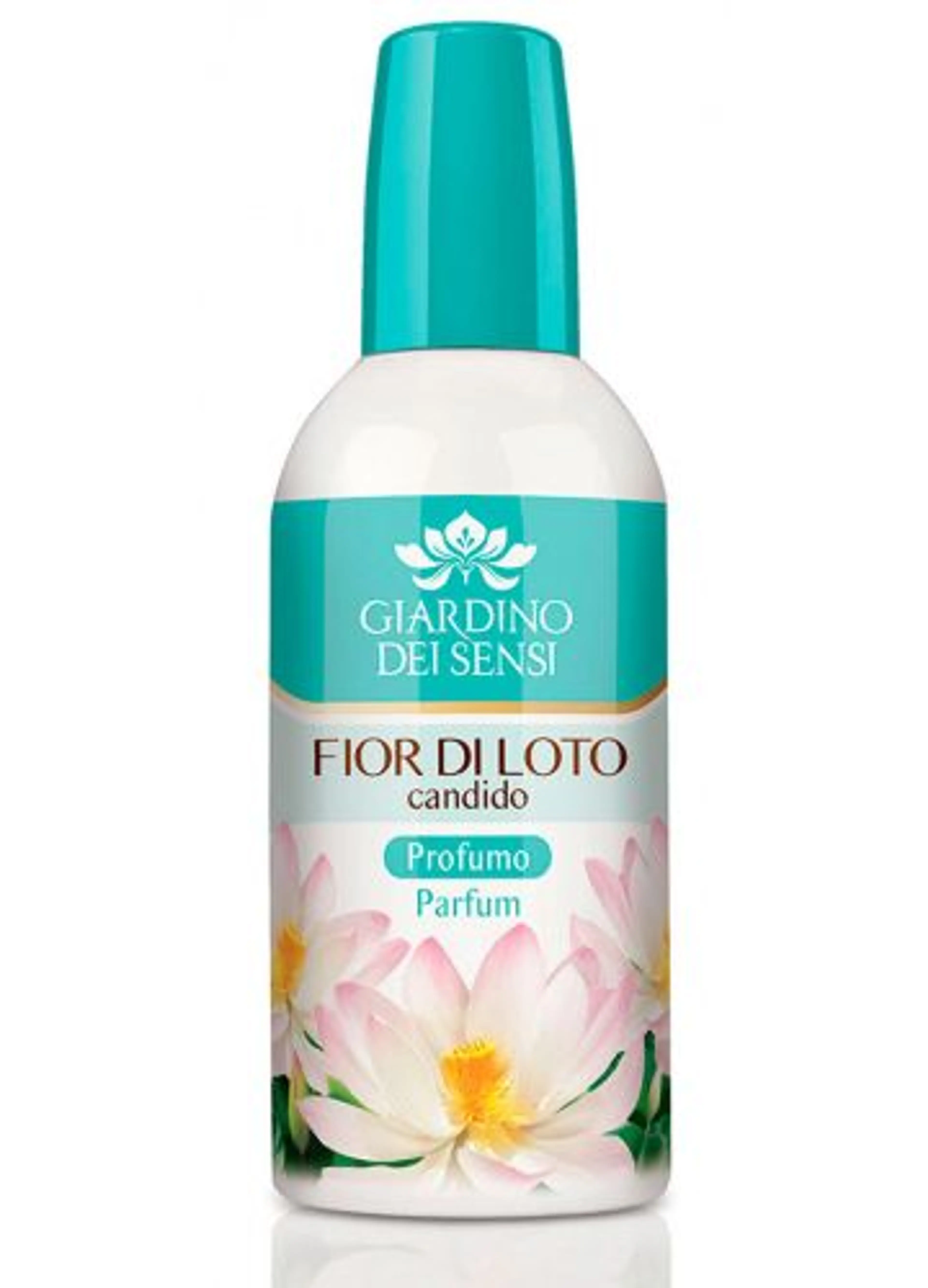 Fior di Loto Candido
