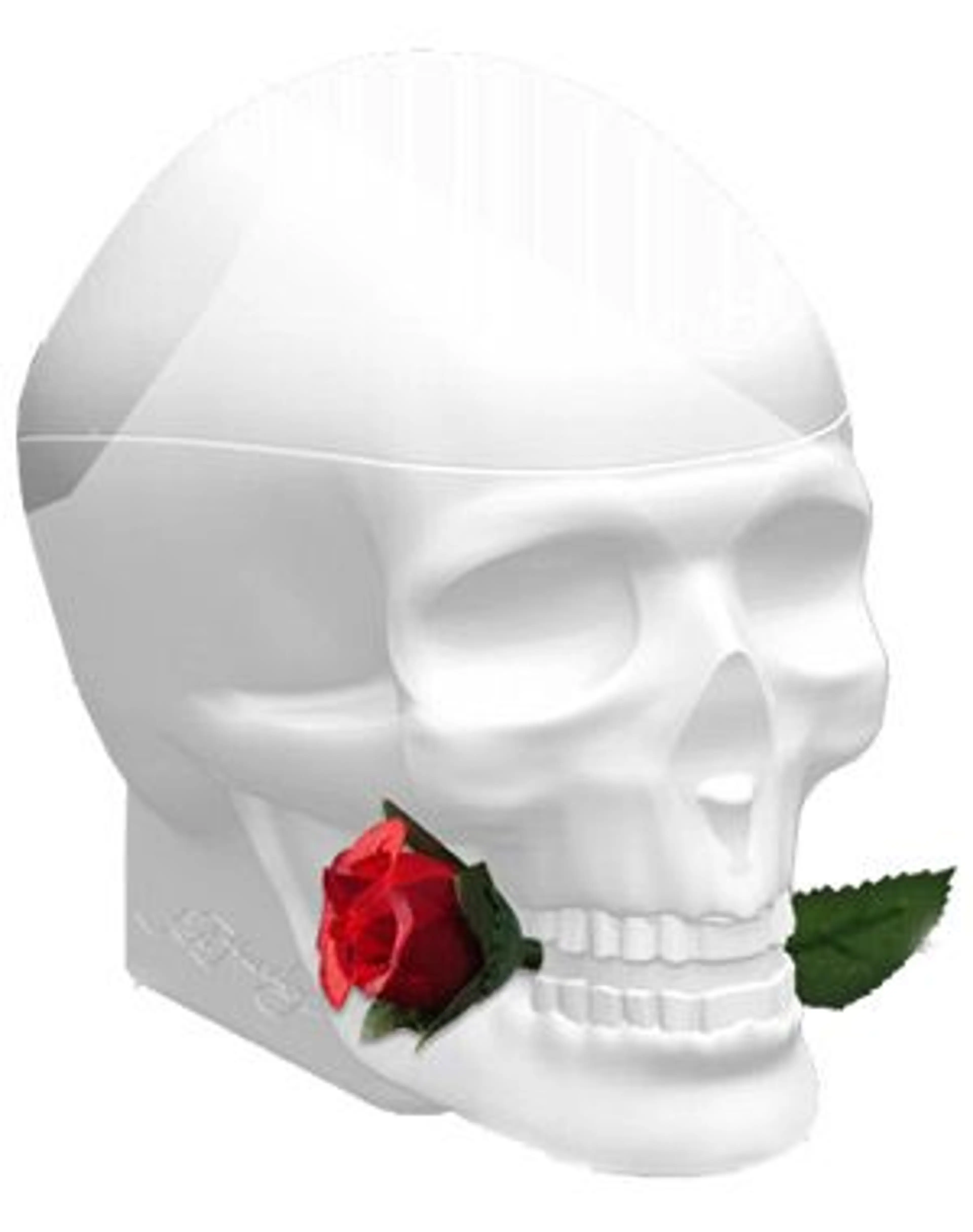 Ed Hardy Skulls & Roses for Her