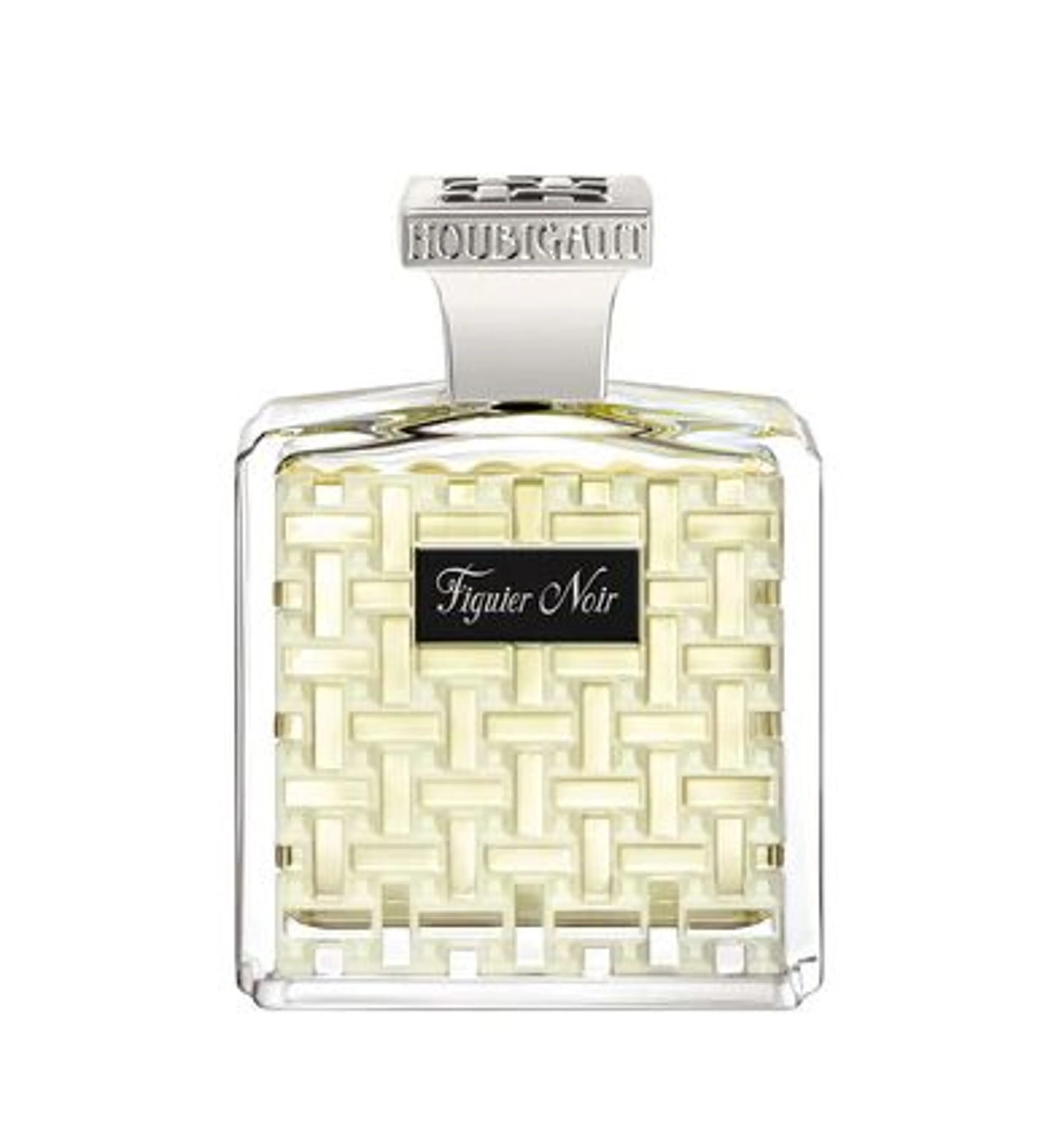 Figuier Noir