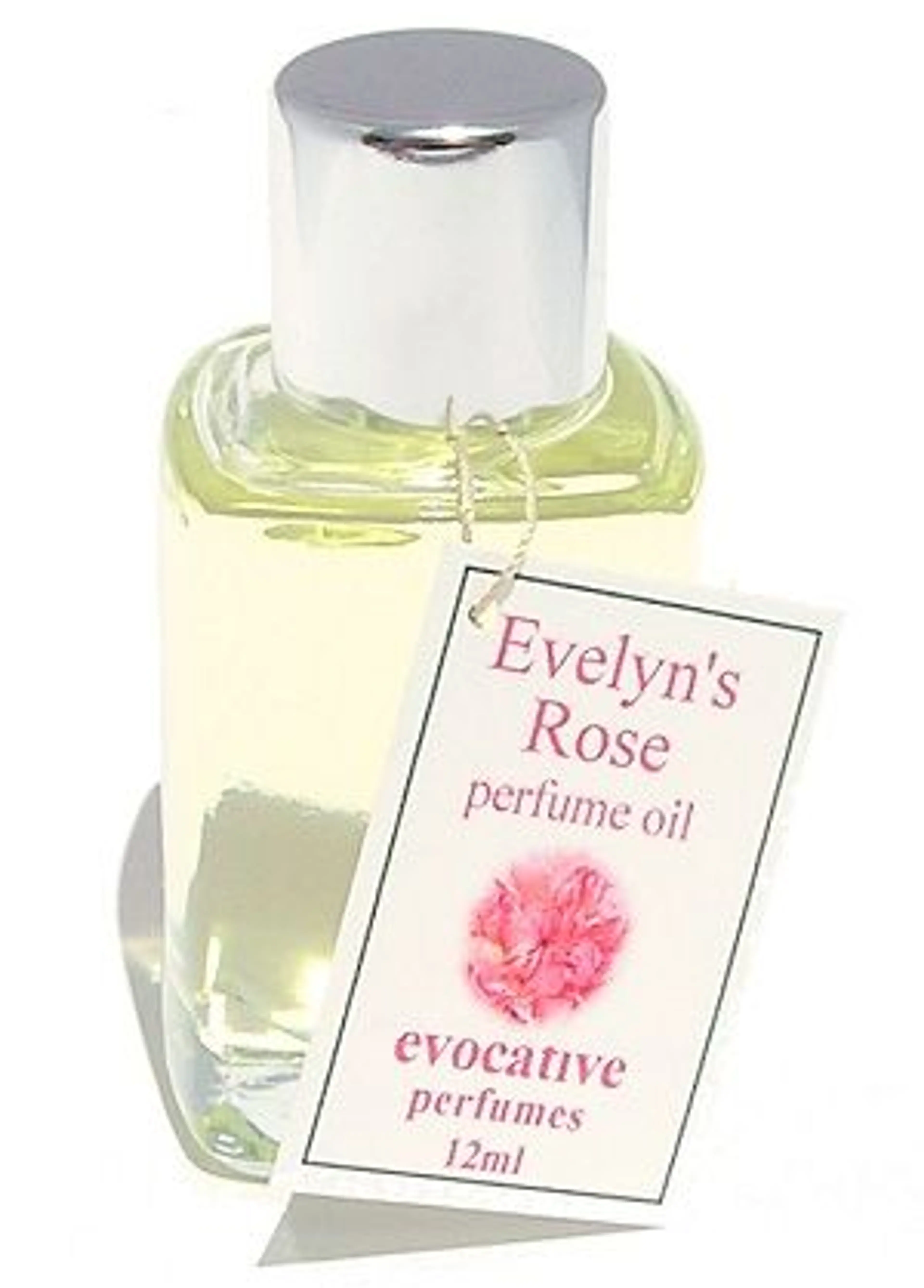 Evelyn's Rose